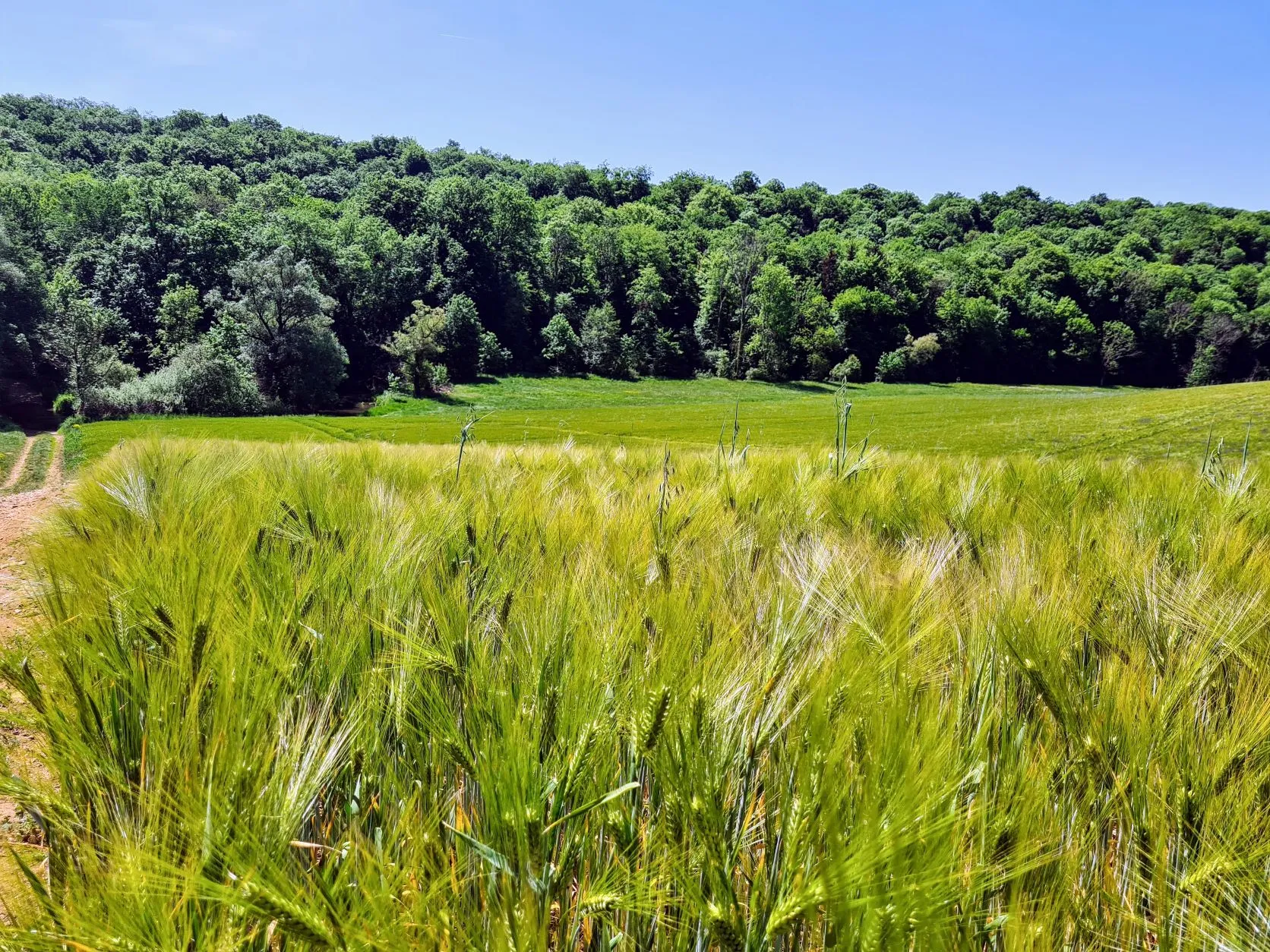Etappe 21: Pont-à-Mousson ⇒ Liverdun (GR5) - foto 6