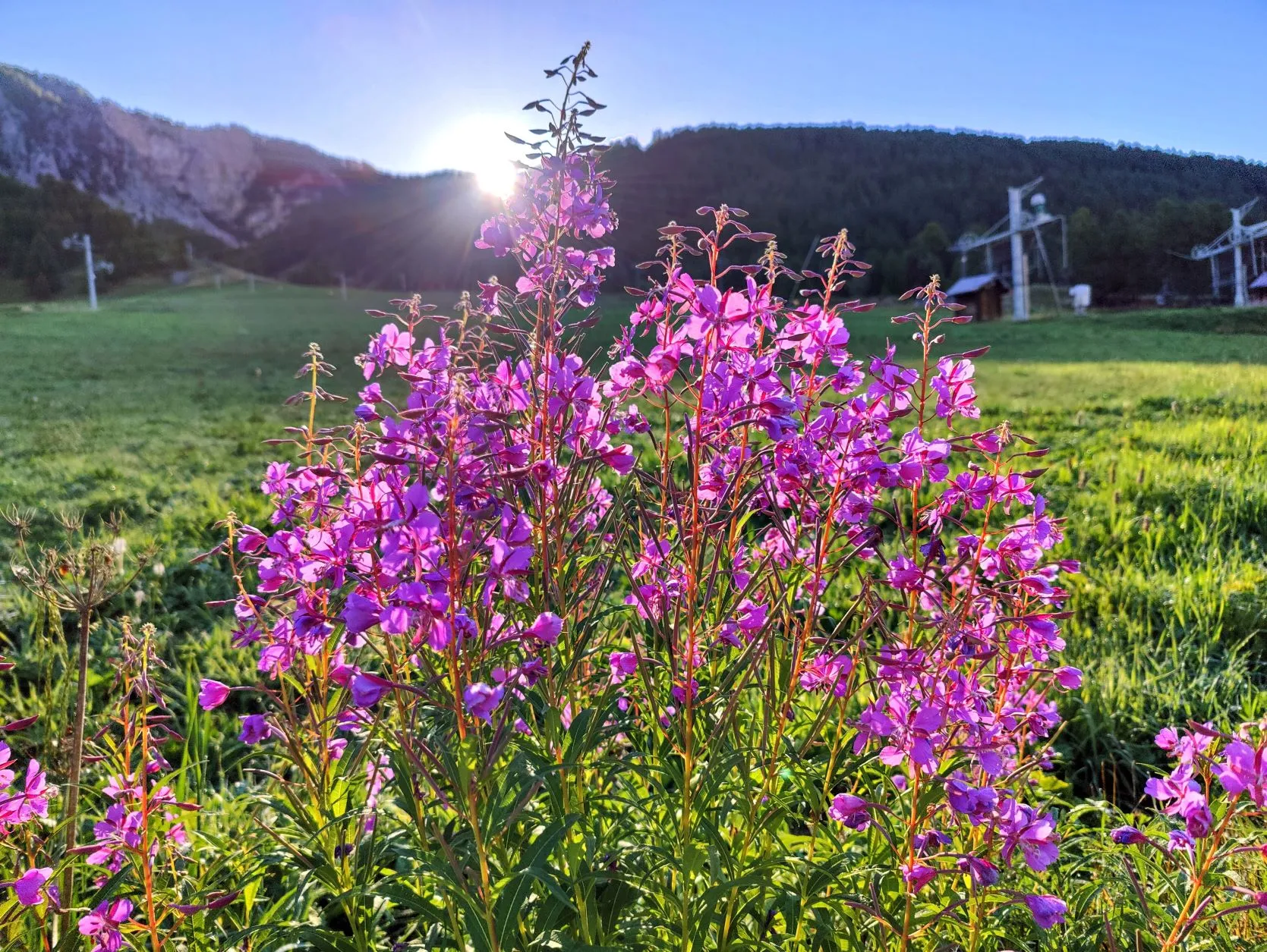 Etappe 79: Brunissard ⇒ Ceillac - foto 4