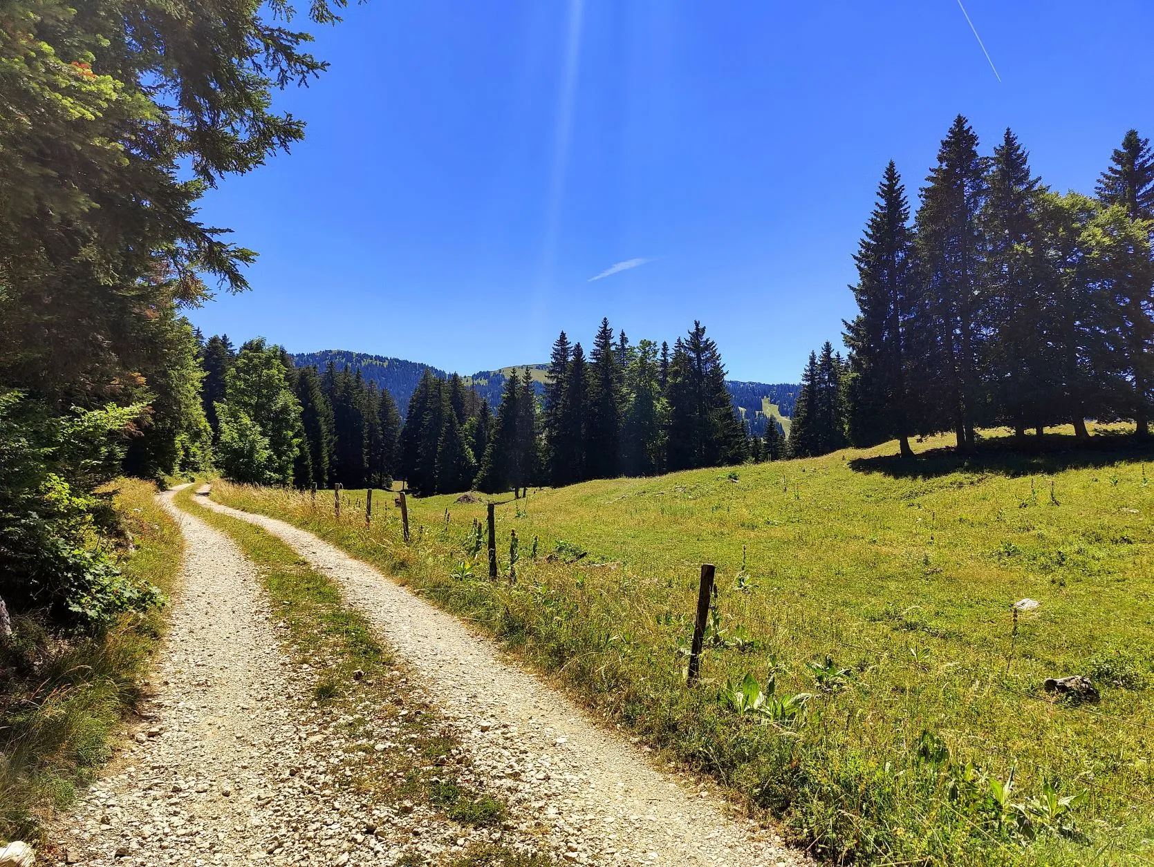 Etappe 54: Les Rousses ⇒ Saint-Cergue - foto 4