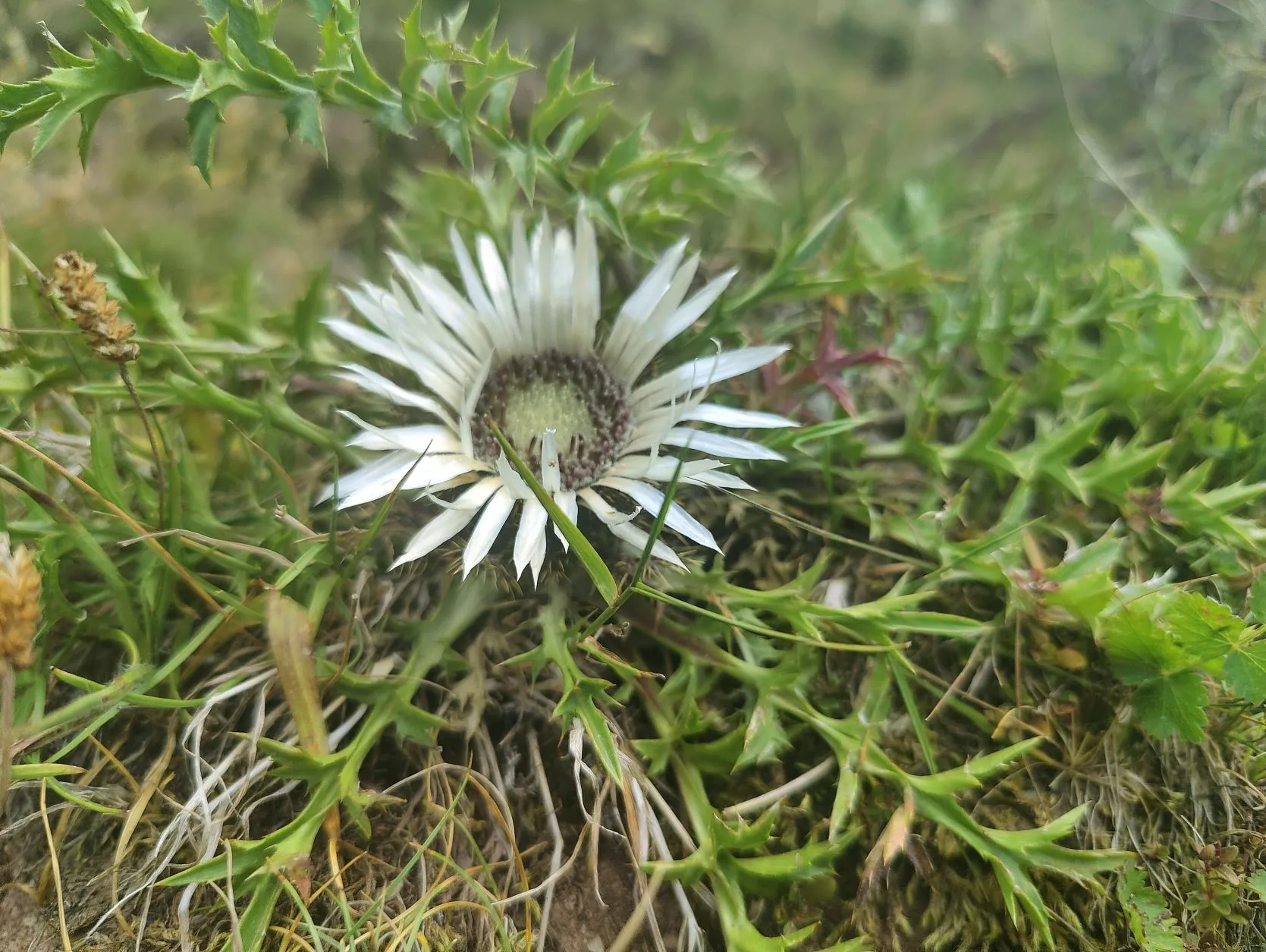 Etappe 59: Chatel ⇒ Chésery - foto 5