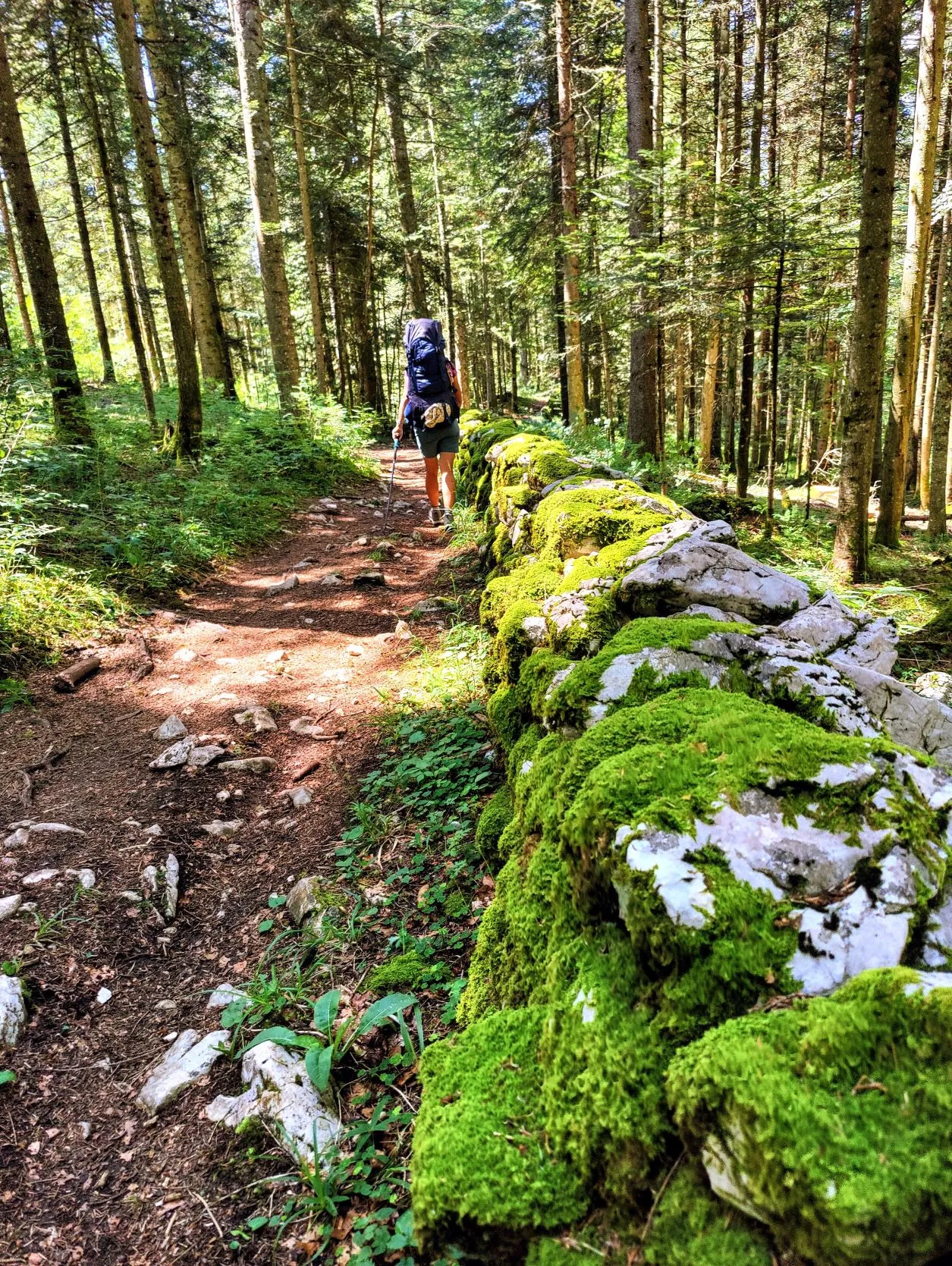 Etappe 48: Les Brenets ⇒ Cabane du Mont Châteleu - foto 3