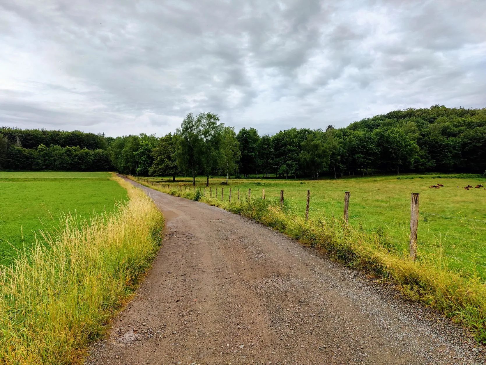 Stage 41: Giromagny ⇒ Belfort - photo 2