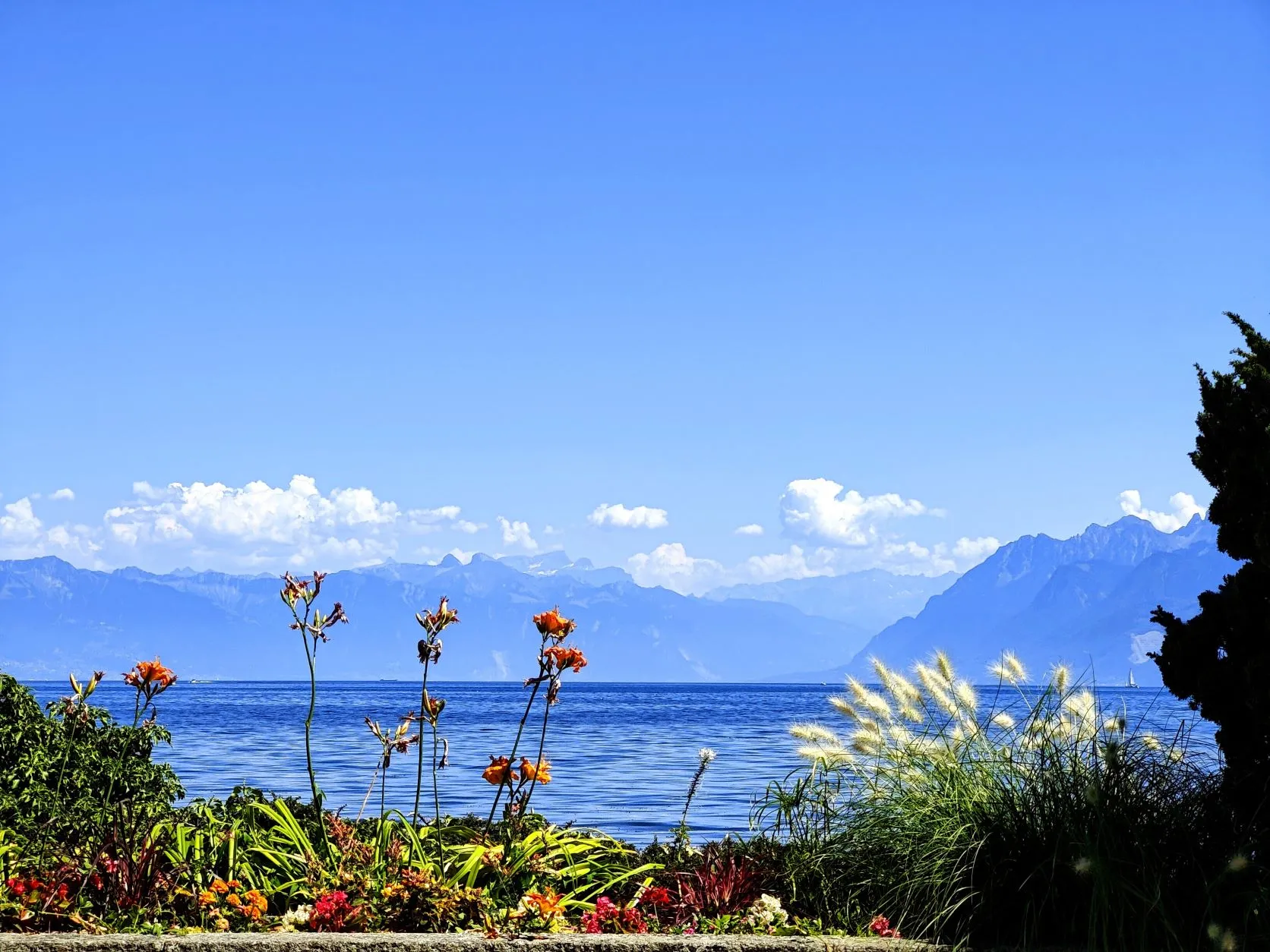 Etappe 55: Saint-Cergue ⇒ Nyon - foto 7