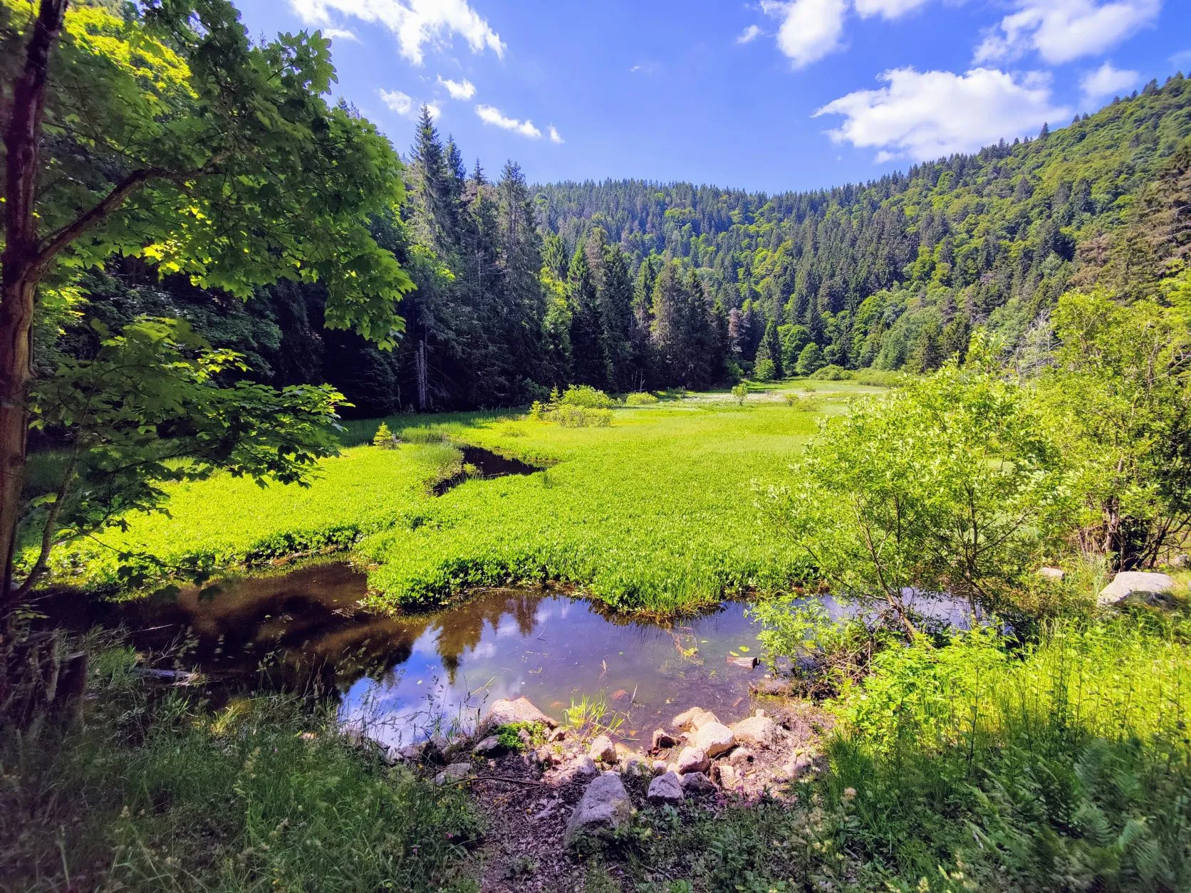 Etappe 35: Faurupt ⇒ Lac Blanc (GR5) - foto 4