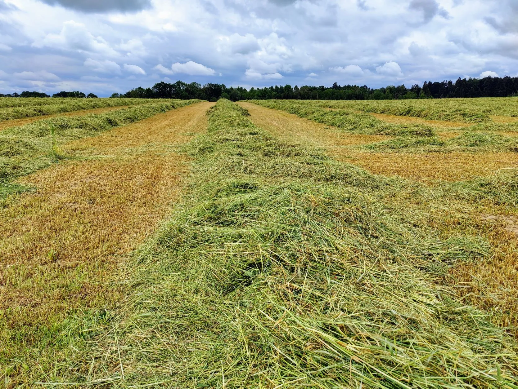 Etappe 25: Val-de-Bride ⇒ Rhodes (GR5) - foto 2