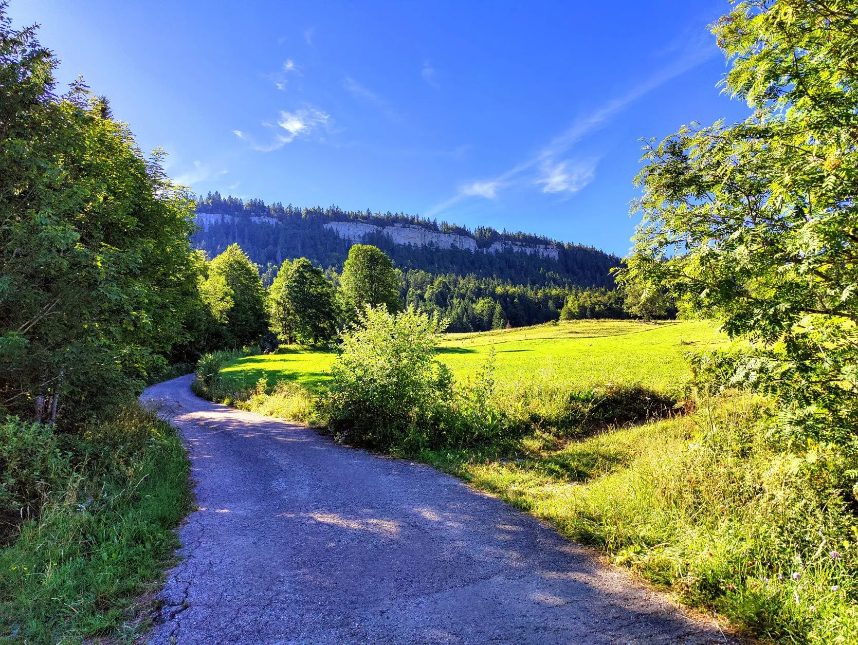 Etappe 53: Chapelle-des-Bois ⇒ Les Rousses - foto 3