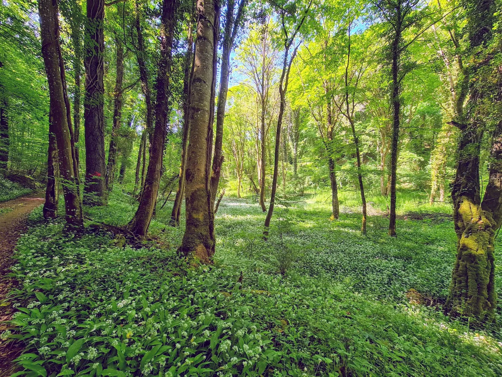 Etappe 21: Pont-à-Mousson ⇒ Liverdun (GR5) - foto 1