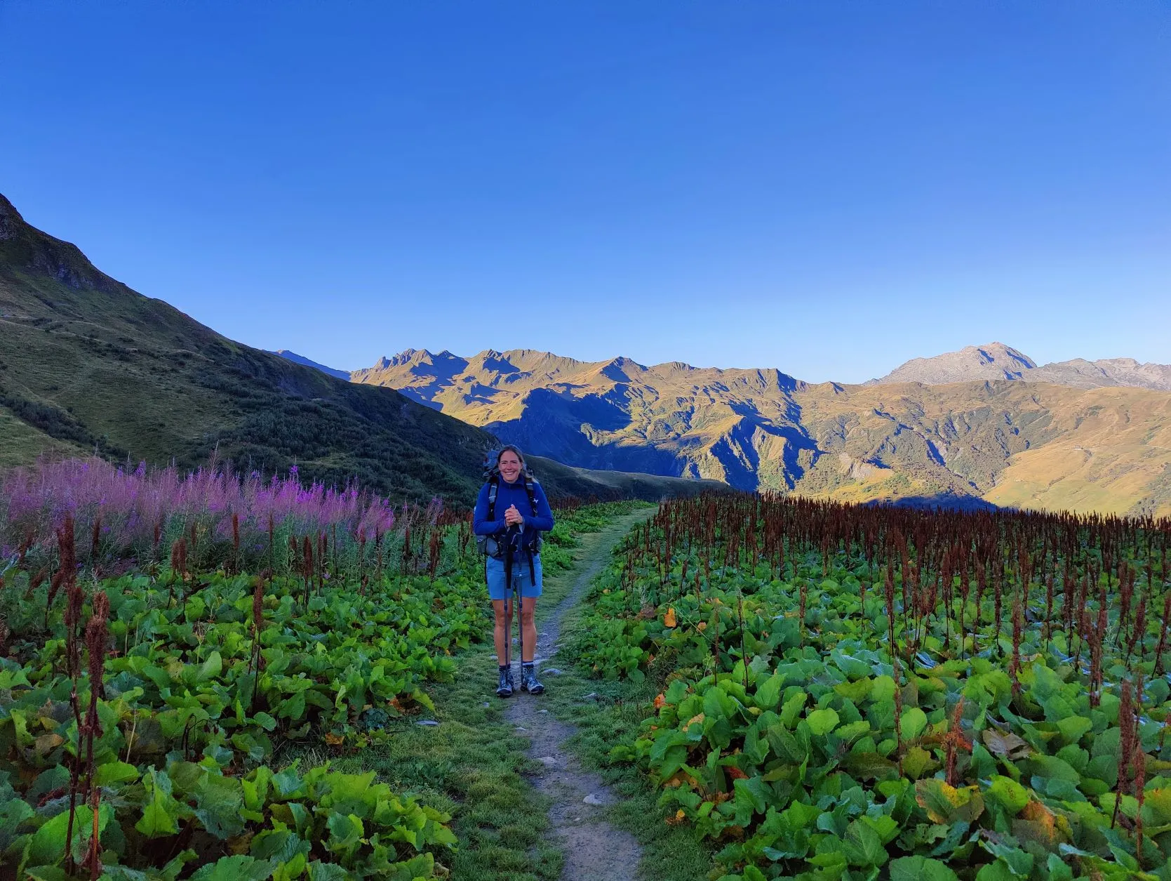 Etappe 66: Les Sauces ⇒ Landry - foto 2