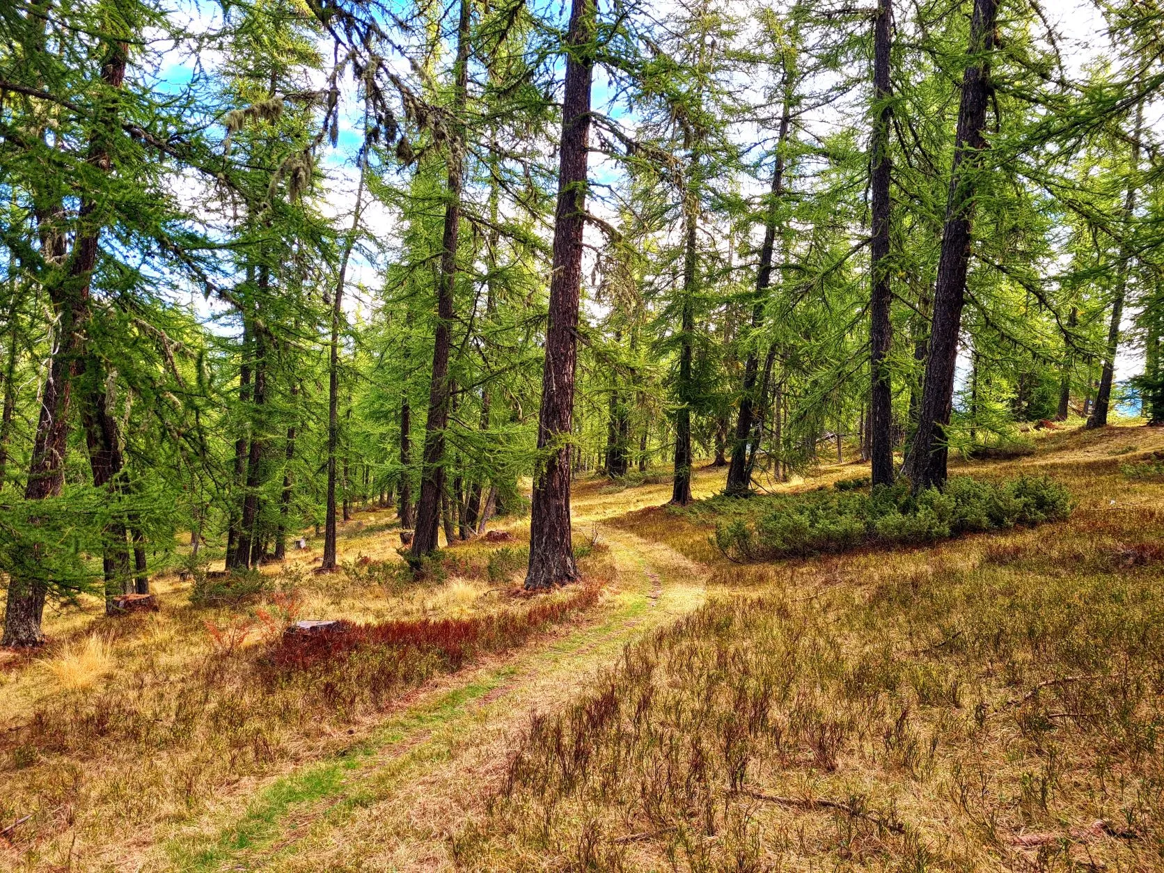 Etappe 86: Crête de la Clauetta ⇒ Saint-Dalmas - foto 1