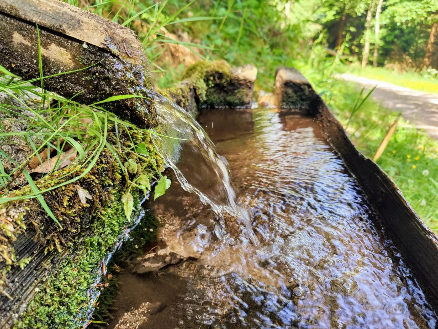 Etappe 30: Schirmeck ⇒ Le Hohwald (GR5) - foto 2