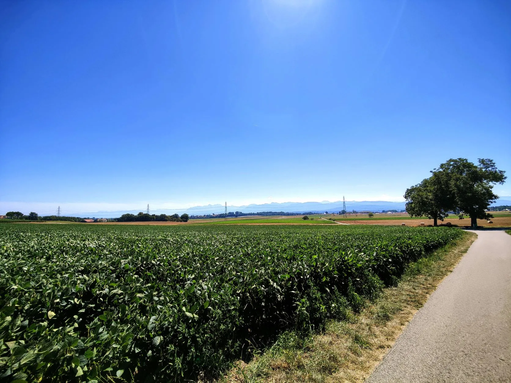 Etappe 55: Saint-Cergue ⇒ Nyon - foto 2