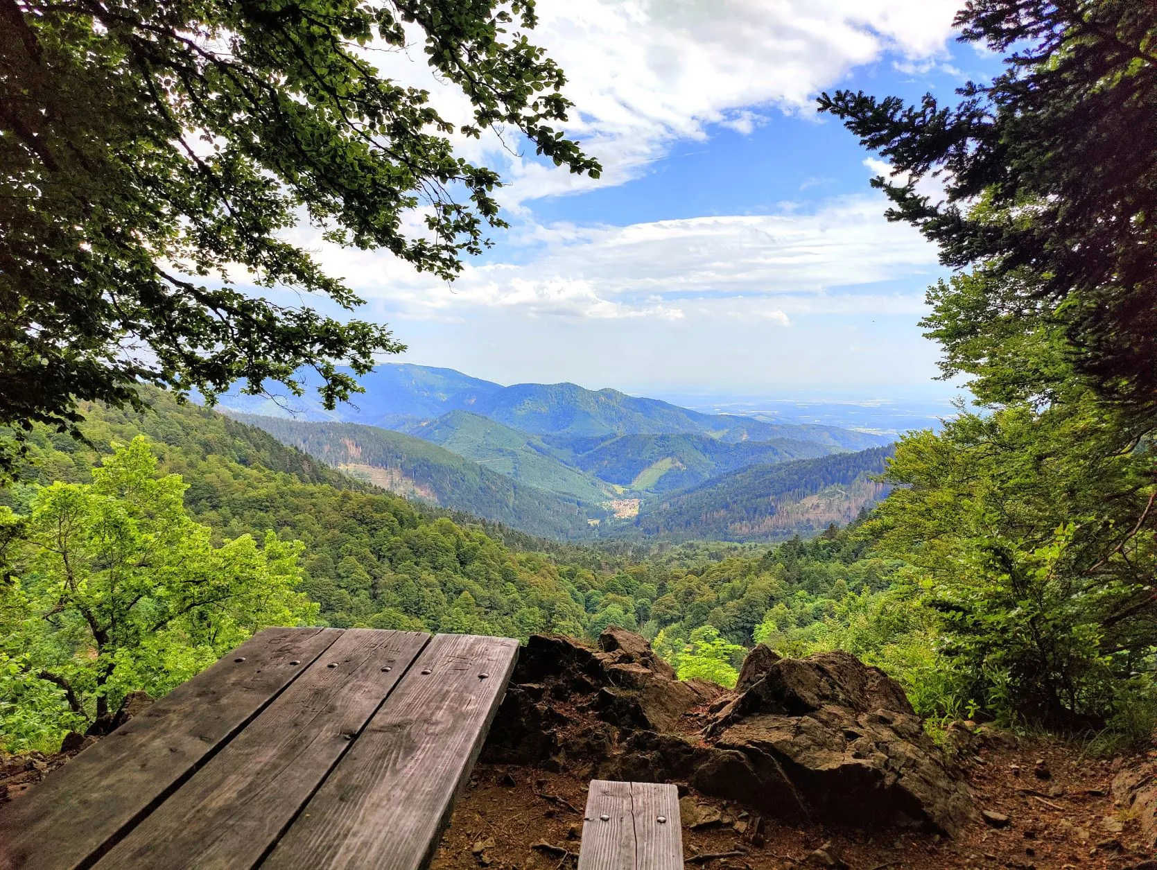 Etappe 39: Thann ⇒ Cabane le Petite Chaume (GR5) - foto 5