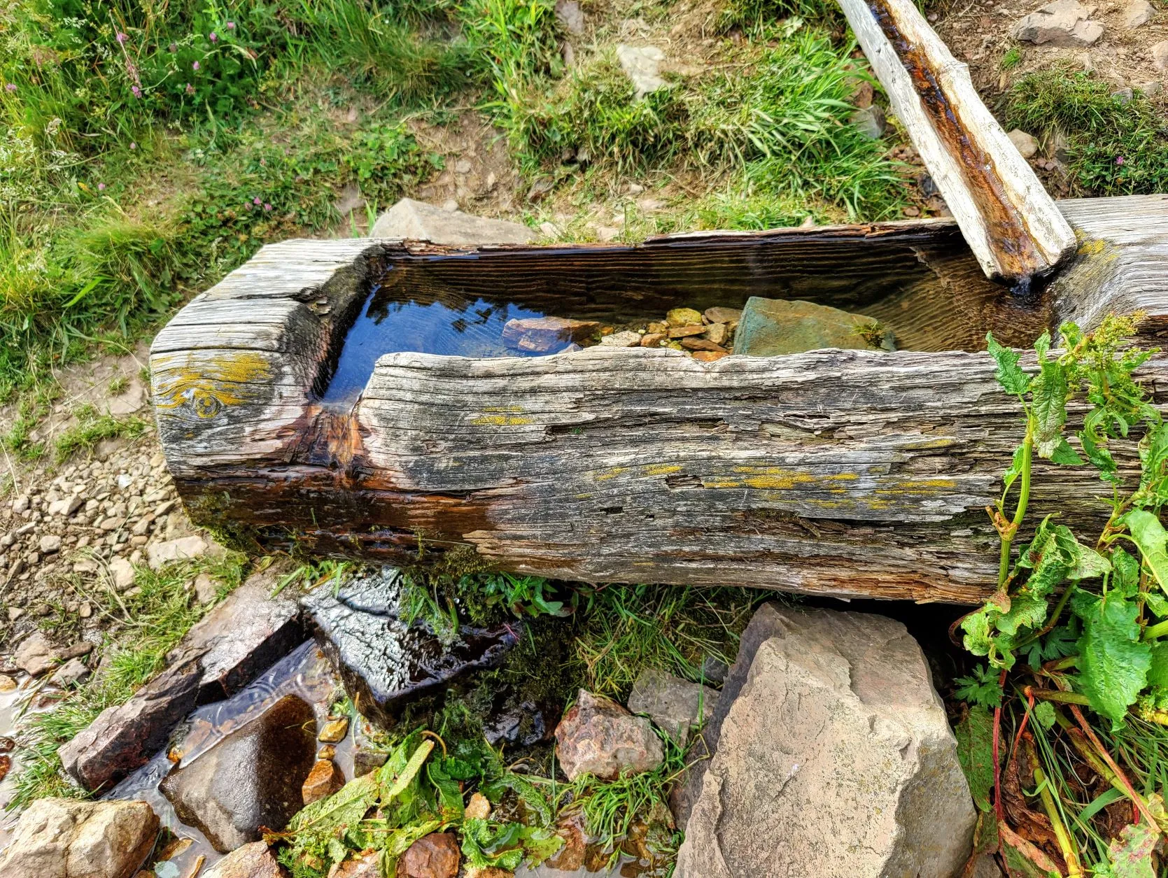 Etappe 39: Thann ⇒ Cabane le Petite Chaume (GR5) - foto 6