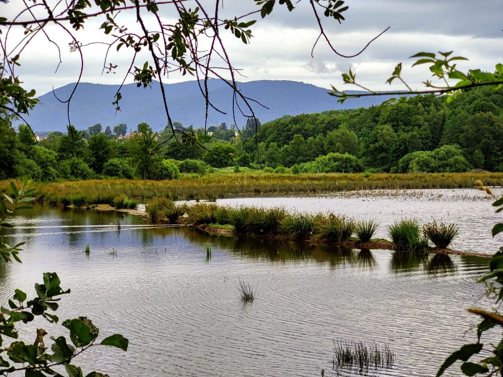 Stage 41: Giromagny ⇒ Belfort - photo 5