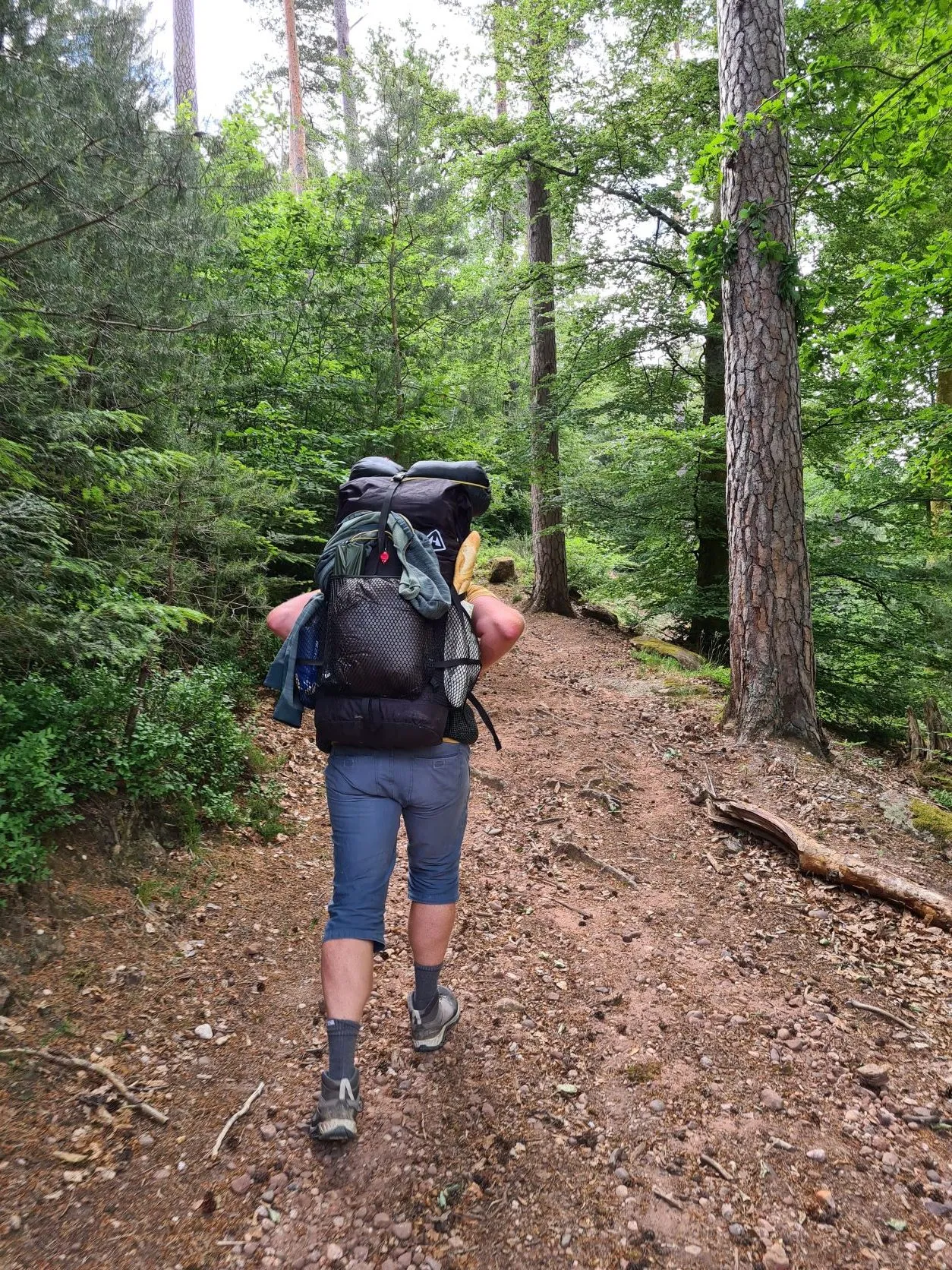 Etappe 28: Saint-Quirin ⇒ Col du Donon (GR5) - foto 2