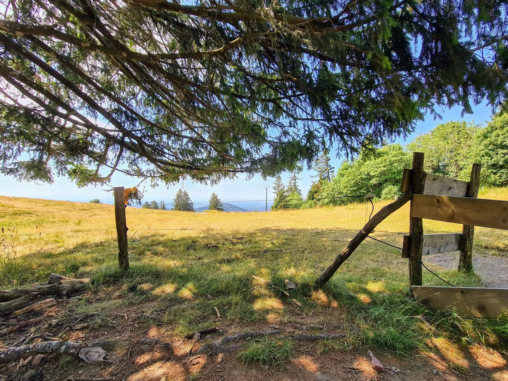 Etappe 39: Thann ⇒ Cabane le Petite Chaume (GR5) - foto 1