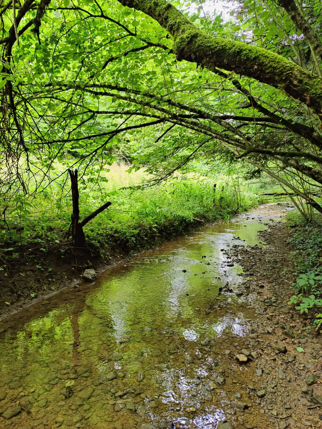 Etappe 43: Dasle ⇒ Saint-Hippolyte - foto 5