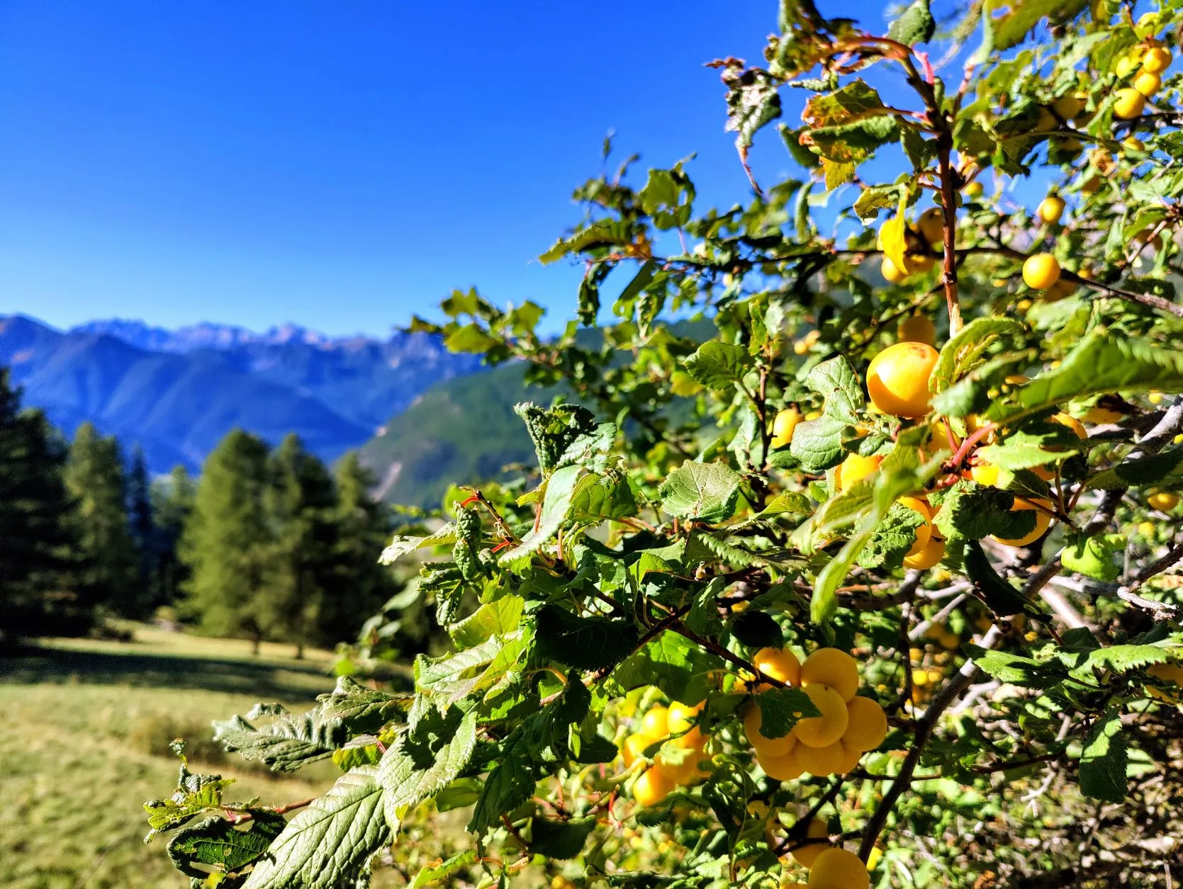 Etappe 79: Brunissard ⇒ Ceillac - foto 6