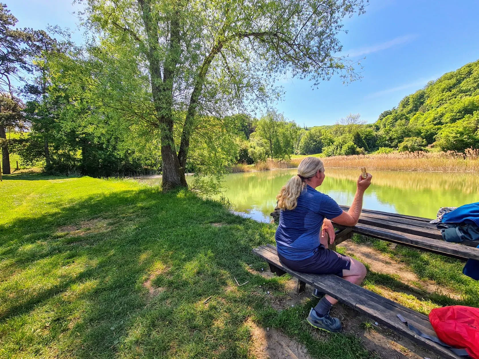 Etappe 19: Ancy-Dornot ⇒ Pagny-sur-Moselle (GR5) - foto 2