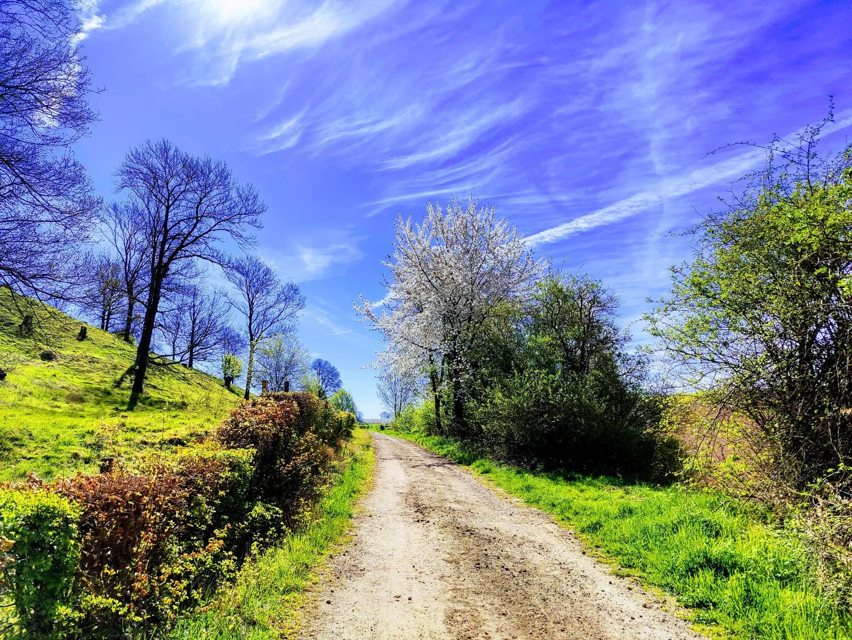 Etappe 1: Heerlen ⇒ Cottessen (Aanlooproute) - foto 2