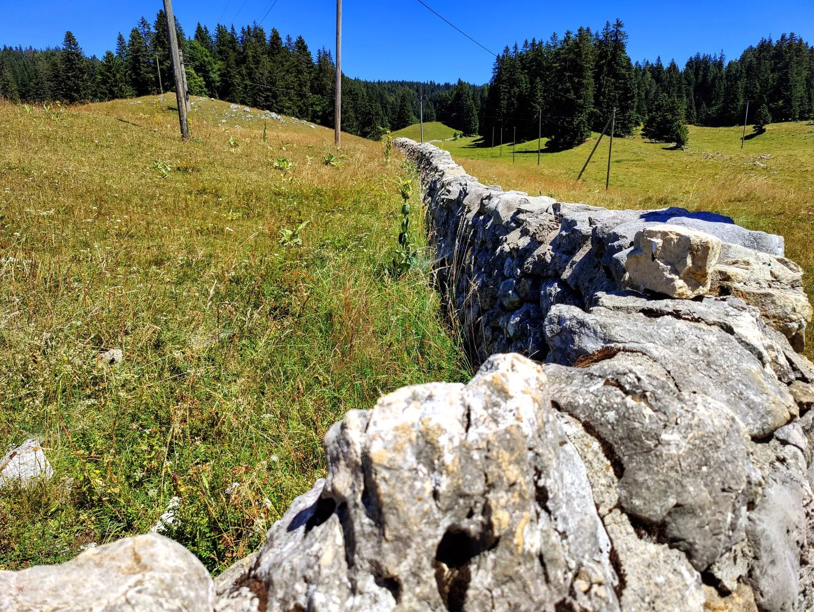 Etappe 54: Les Rousses ⇒ Saint-Cergue - foto 7