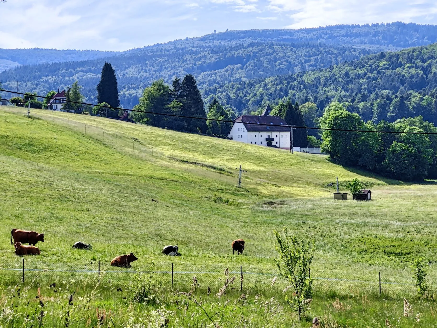 Etappe 30: Schirmeck ⇒ Le Hohwald (GR5) - foto 7