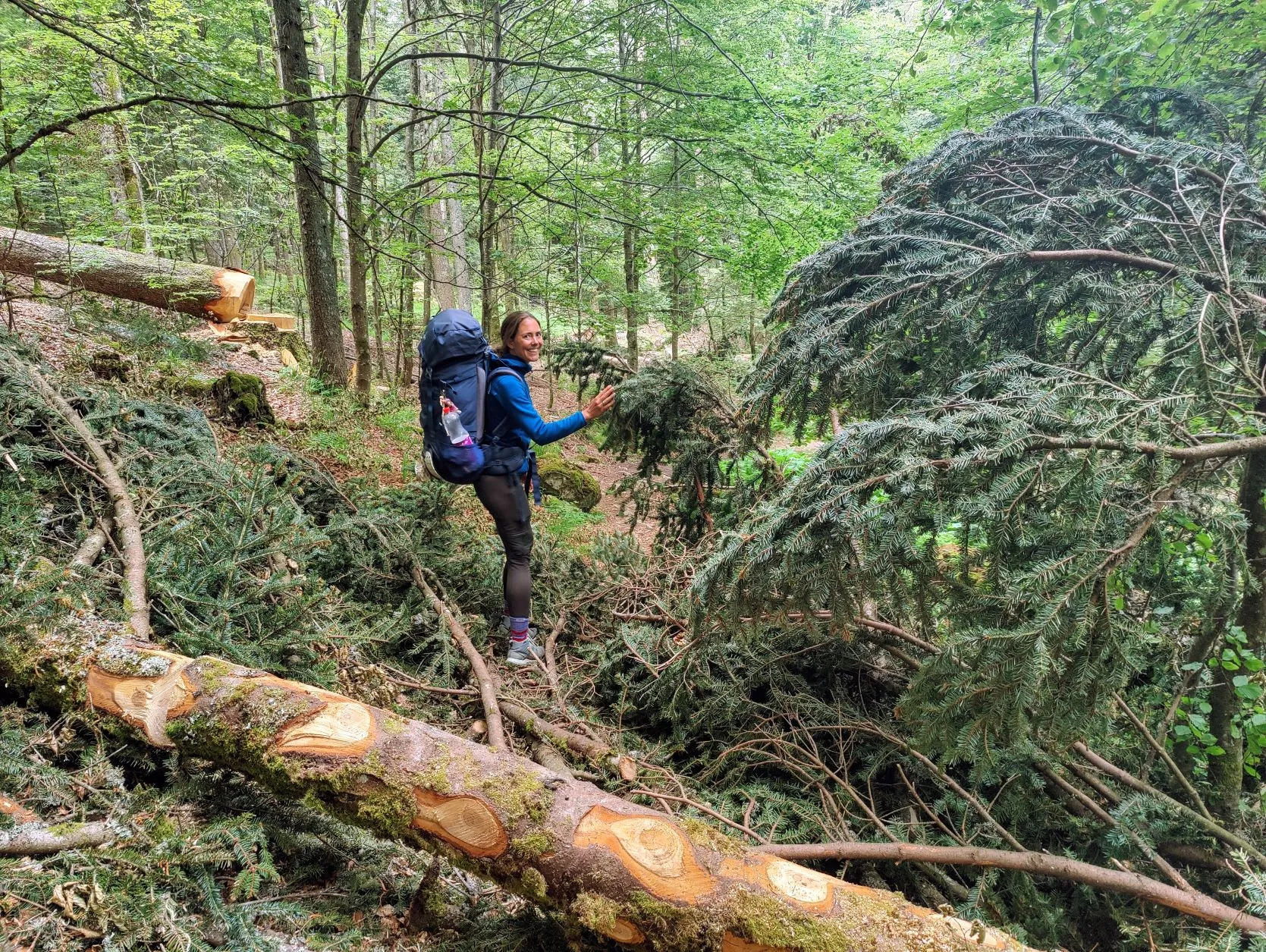 Etappe 30: Schirmeck ⇒ Le Hohwald (GR5) - foto 5