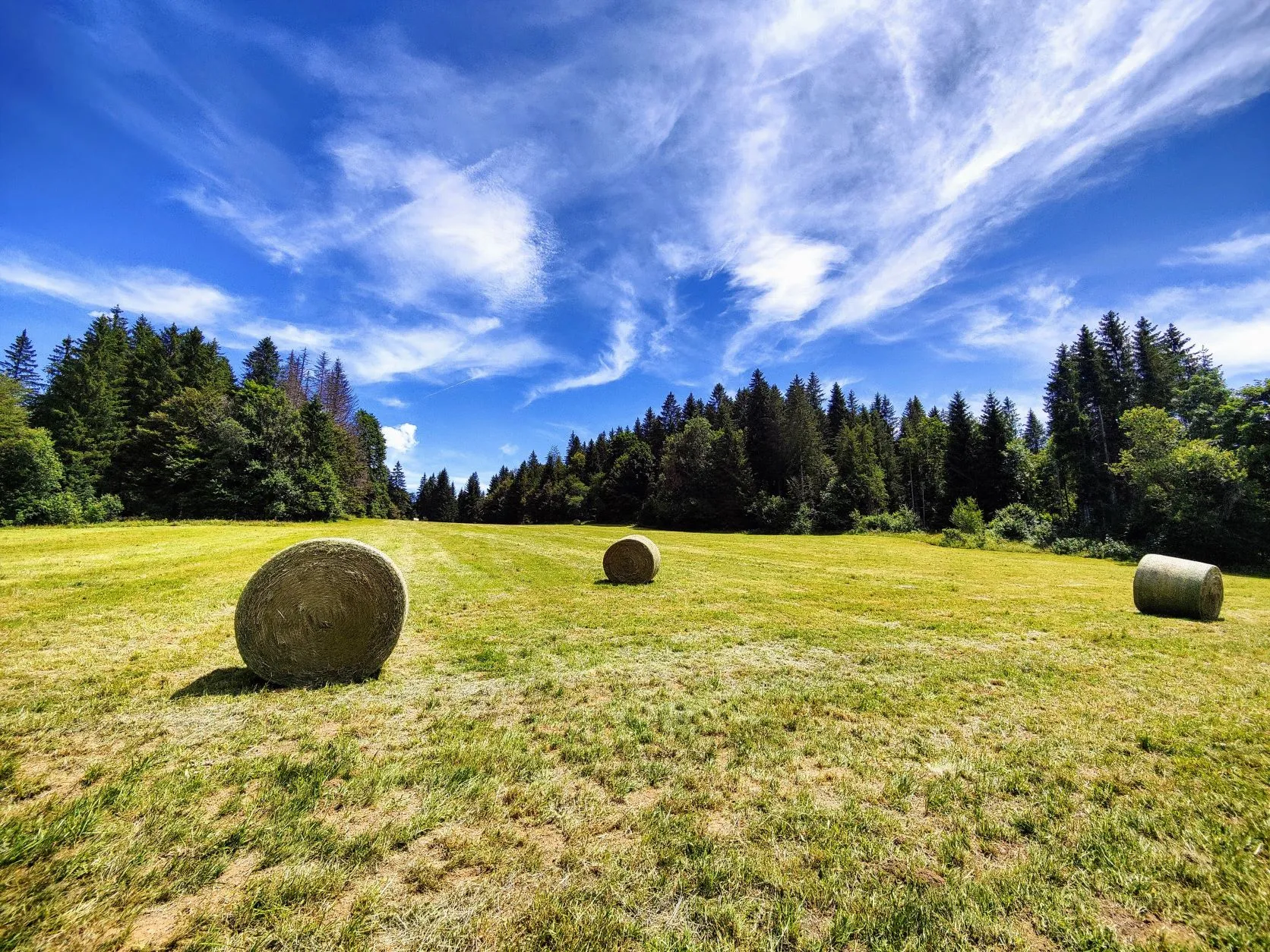 Etappe 50: Pontarlier ⇒ Les Hôpitaux-Neufs - foto 5