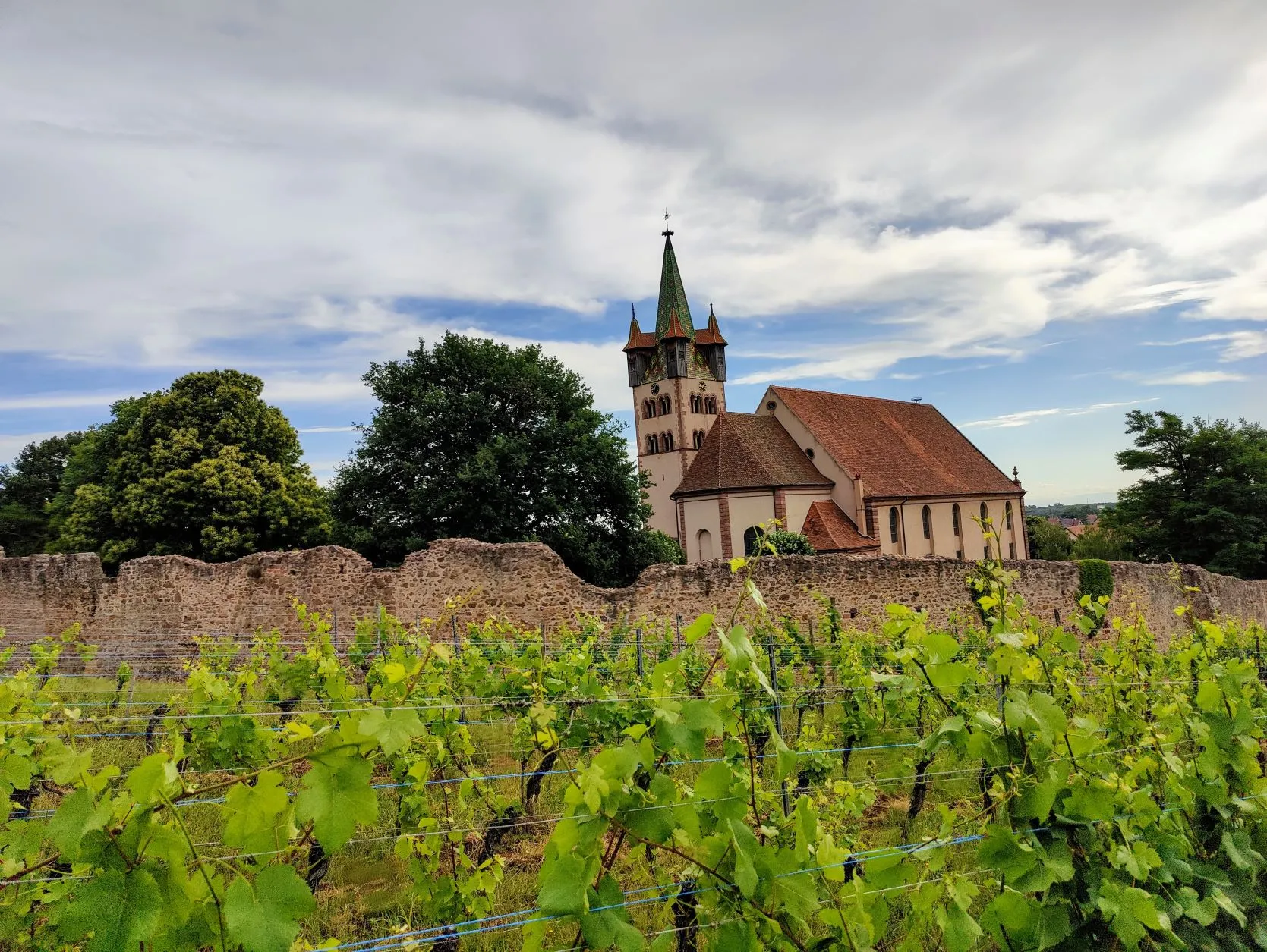 Etappe 33: Scherwiller ⇒ Ribeauvillé (GR5) - foto 1