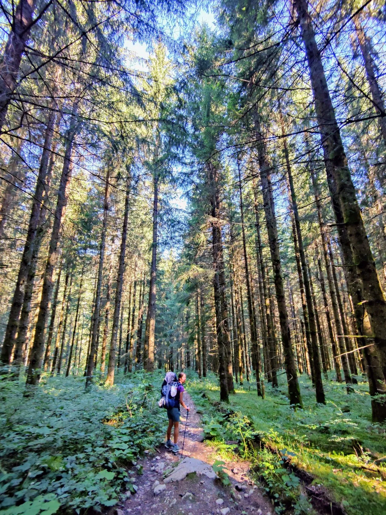 Etappe 49: Cabane du Mont Châteleu ⇒Pontarlier - foto 2