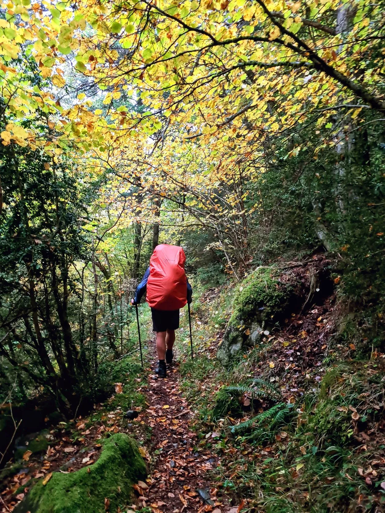 Etappe 90: Granges de Faisset ⇒ Fontan - foto 3