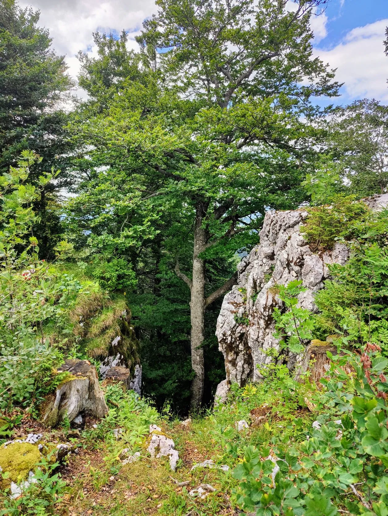 Etappe 49: Cabane du Mont Châteleu ⇒Pontarlier - foto 5