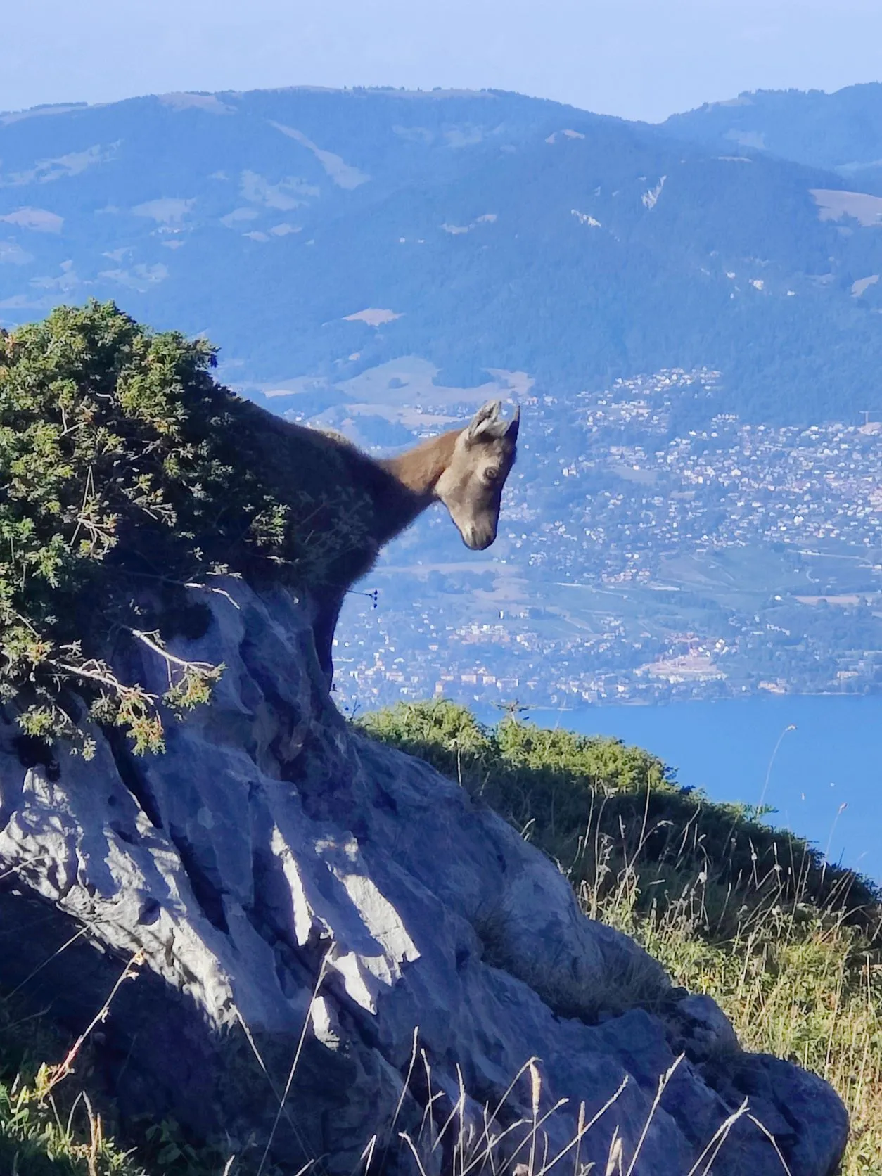 Etappe 57: Vinzier ⇒ Montagne de Neuteu - foto 9