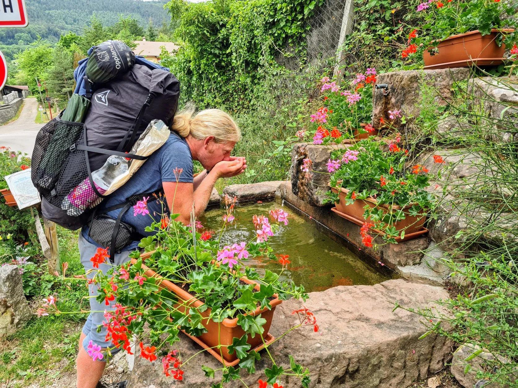 Etappe 33: Scherwiller ⇒ Ribeauvillé (GR5) - foto 4