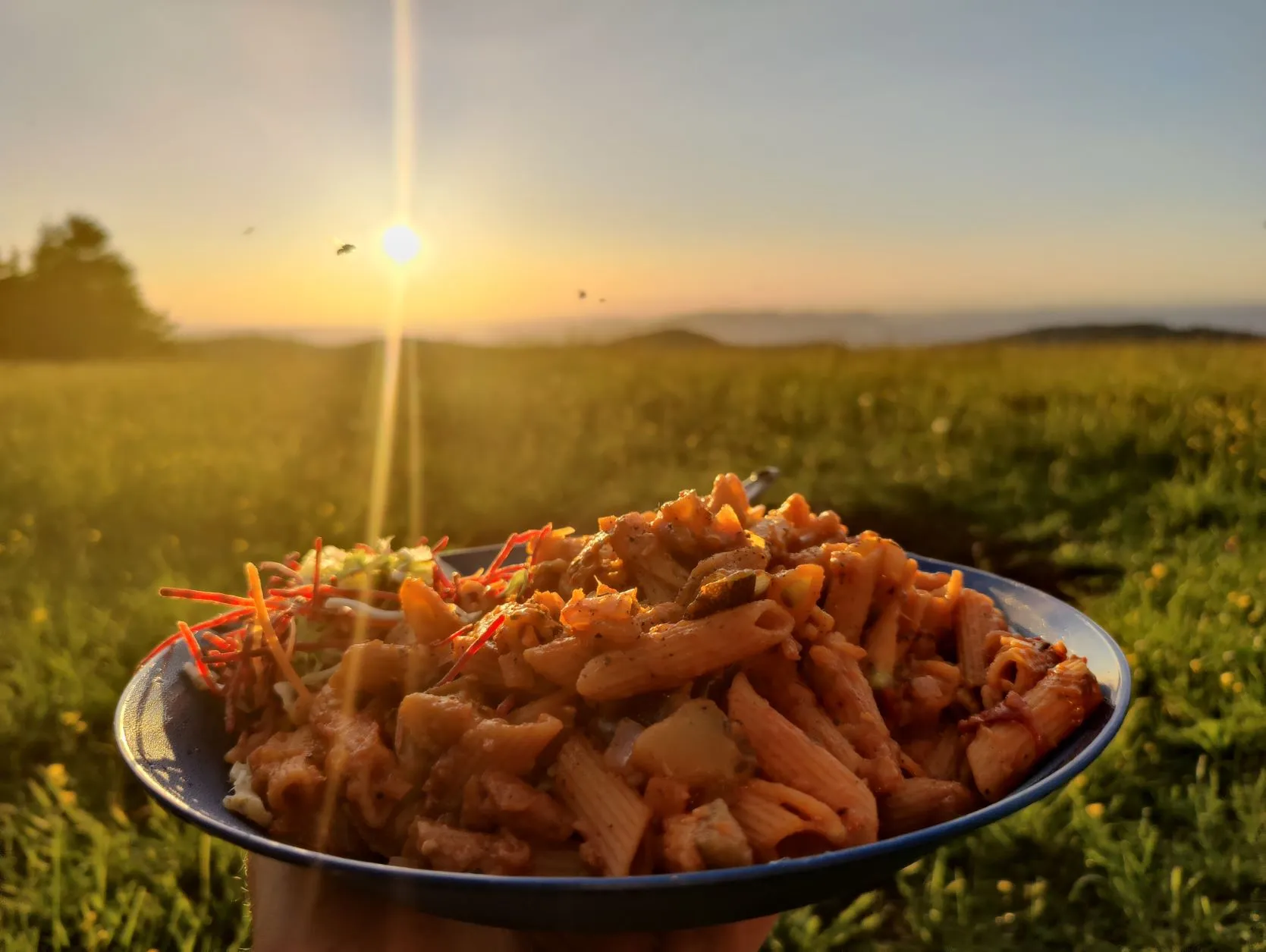 Etappe 34: Ribeauvillé ⇒ Faurupt (GR5) - foto 7