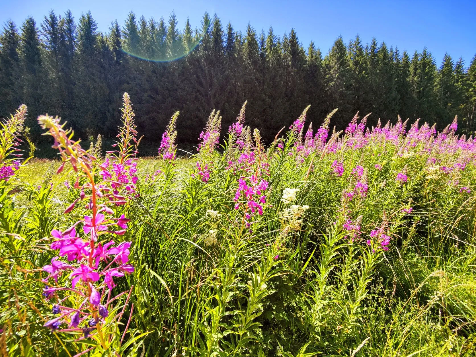 Etappe 52: Mouthe ⇒ Chapelle-des-Bois - foto 2