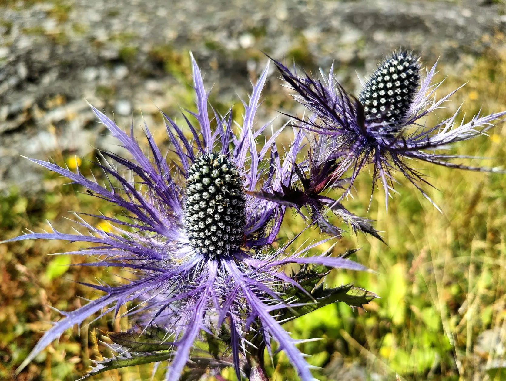 Etappe 69: Val d’Isere ⇒ Bessans - foto 5