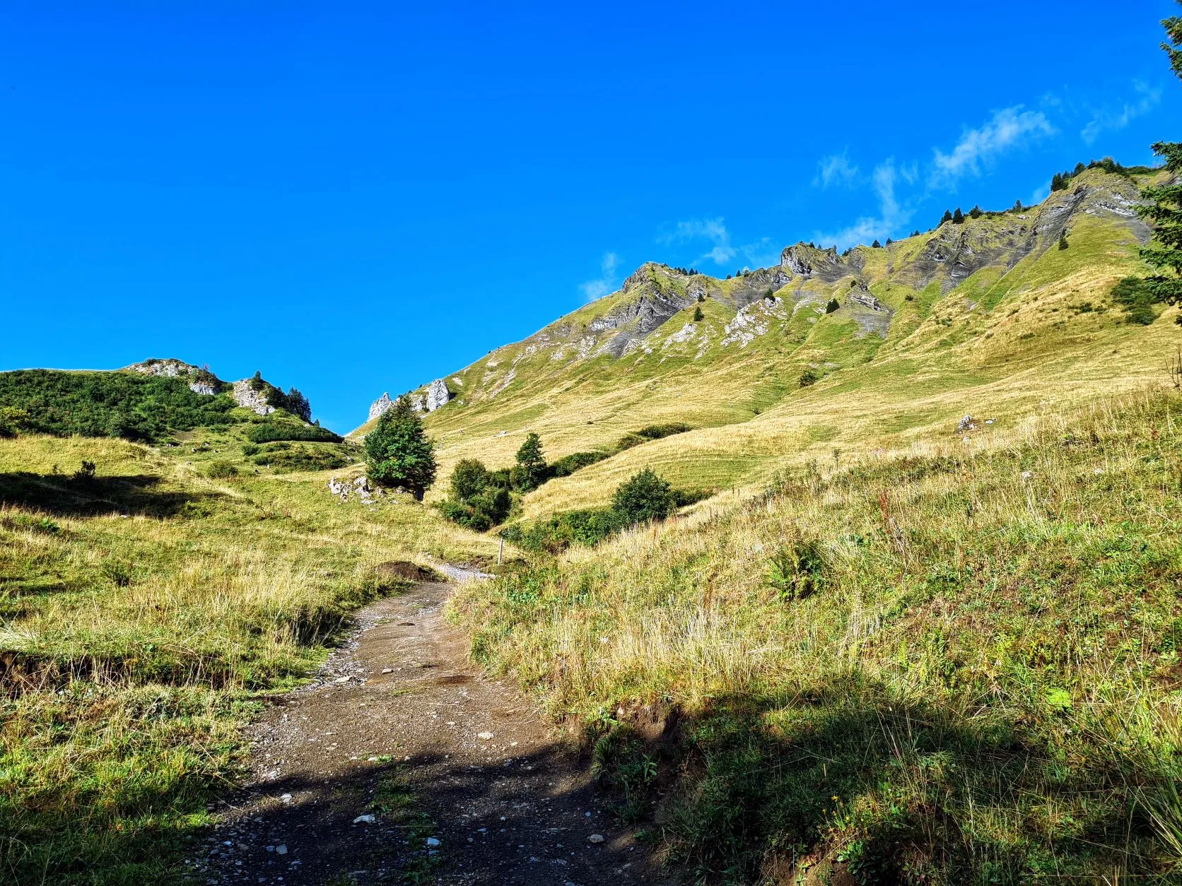 Etappe 61: Col de la Golese ⇒ Verchaix - foto 1
