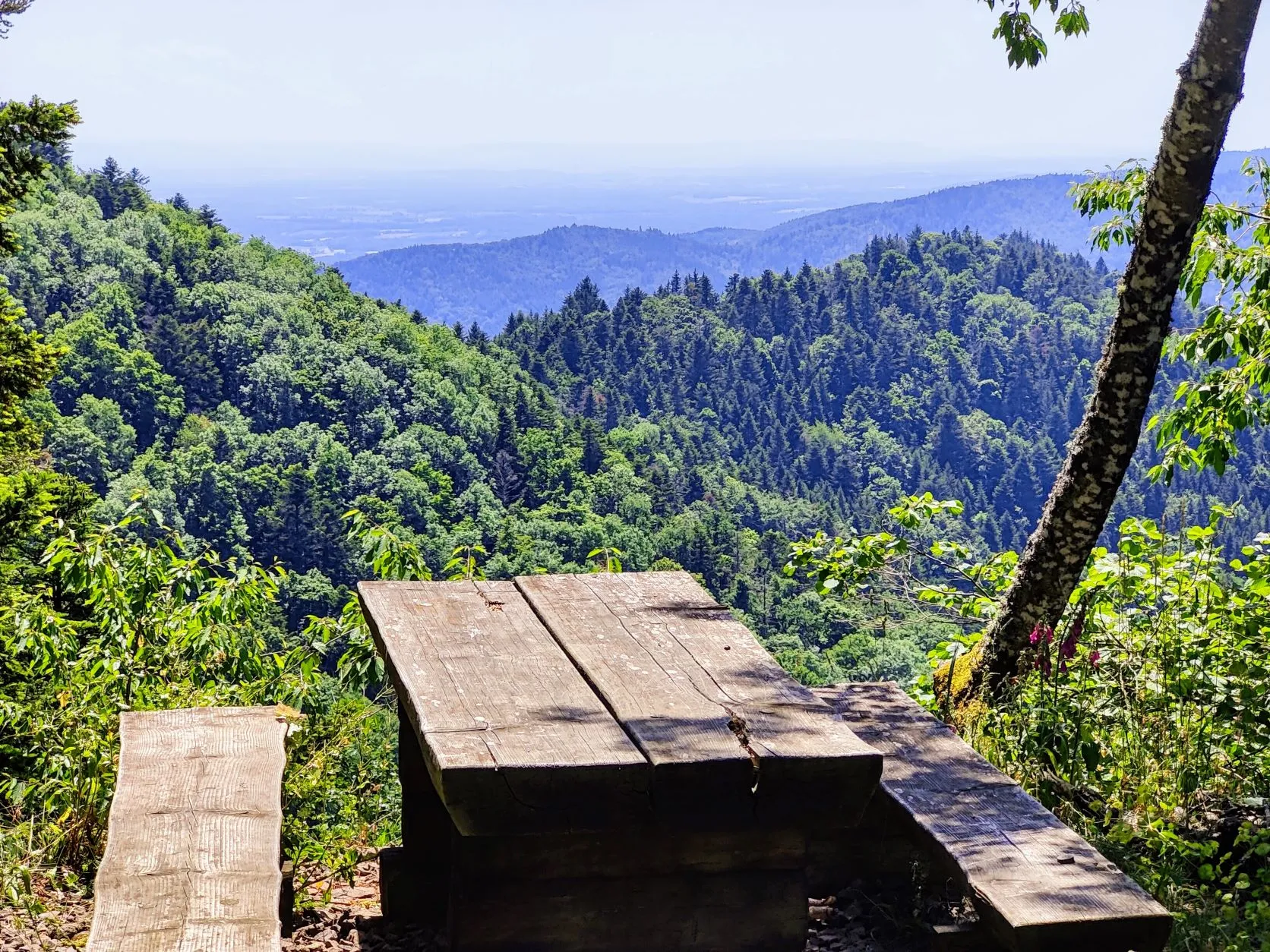 Stage 38: Refuge du Storkenkopf ⇒ Thann - photo 6