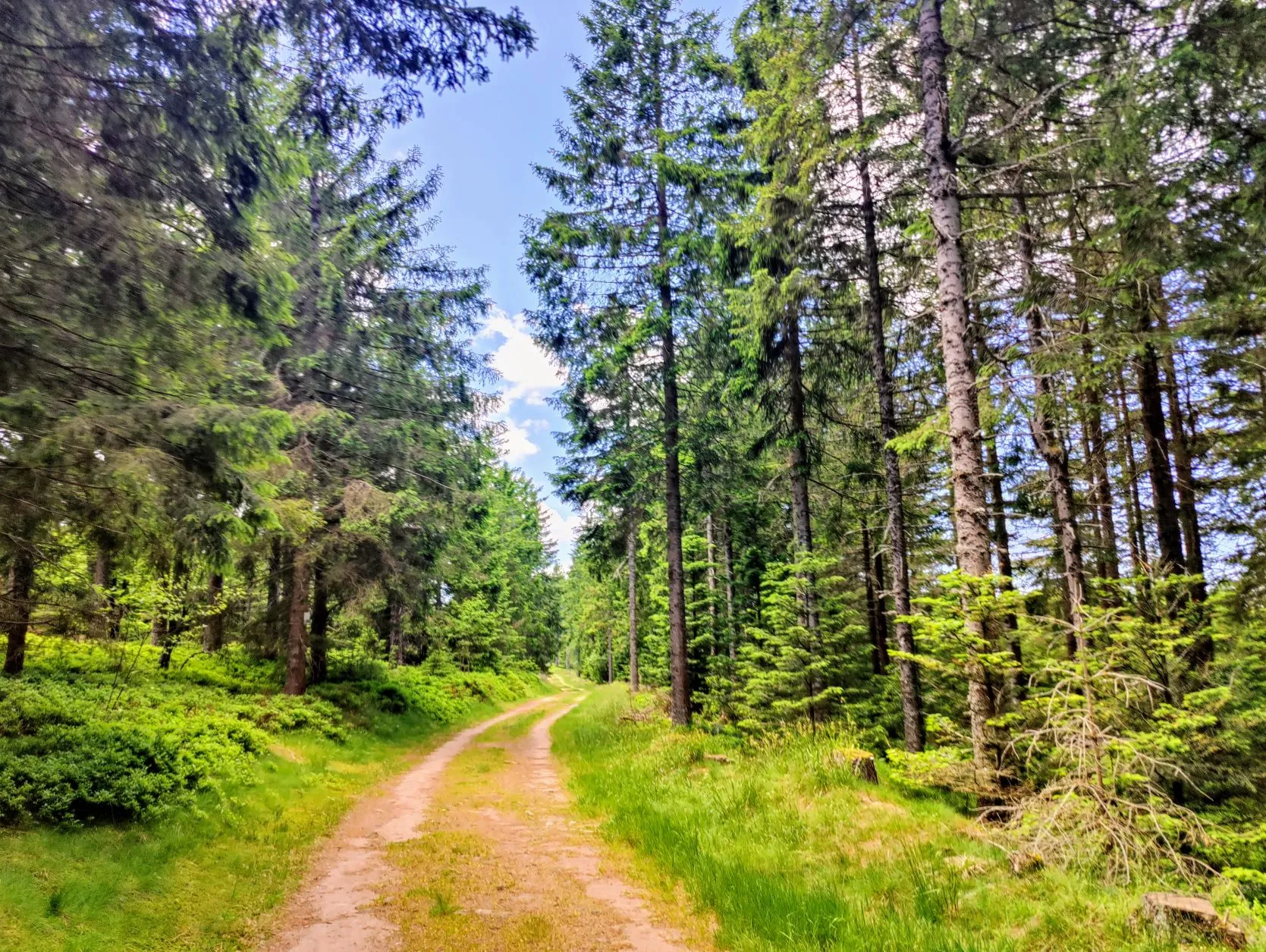 Etappe 35: Faurupt ⇒ Lac Blanc (GR5) - foto 6