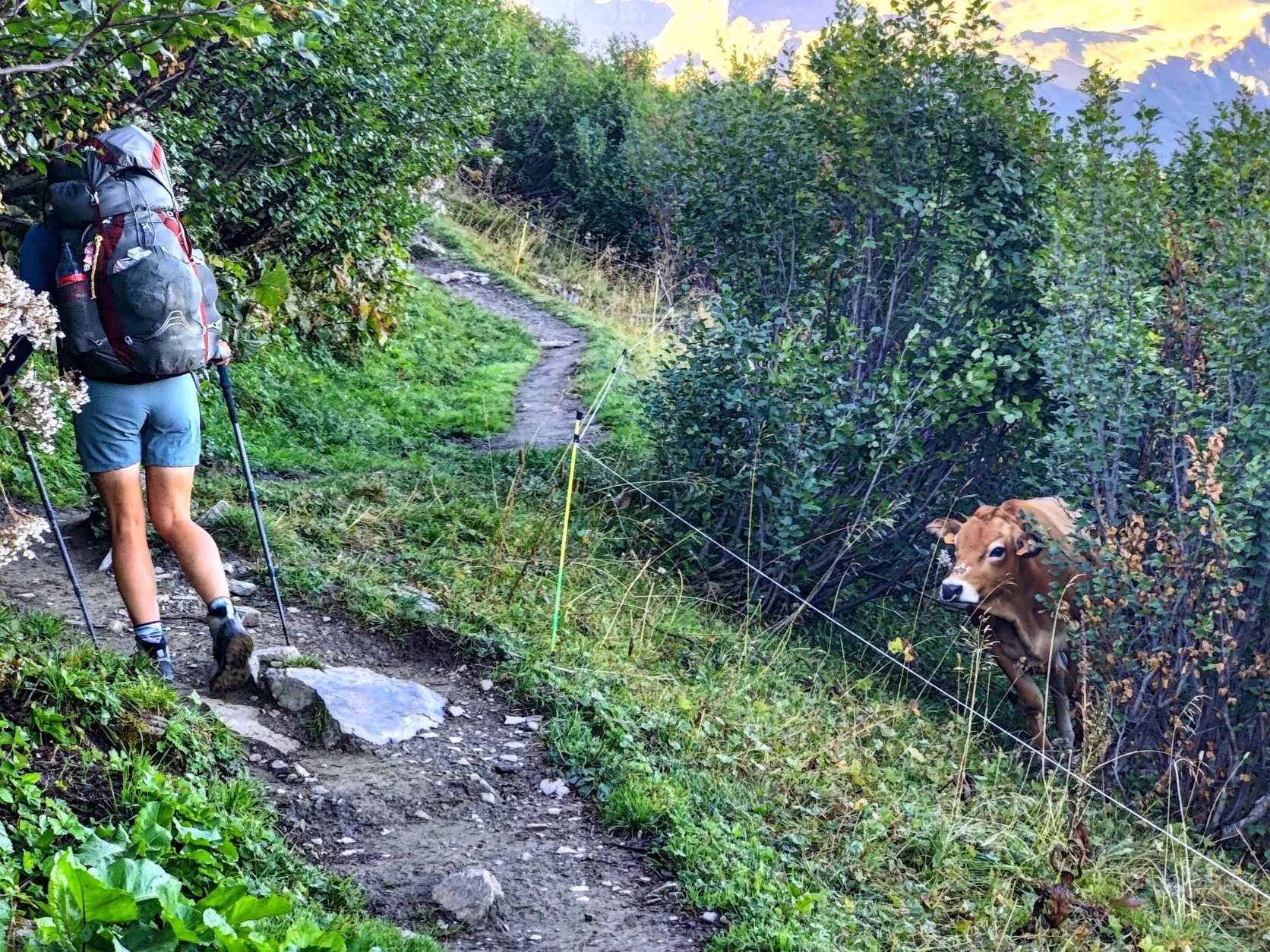 Etappe 66: Les Sauces ⇒ Landry - foto 4