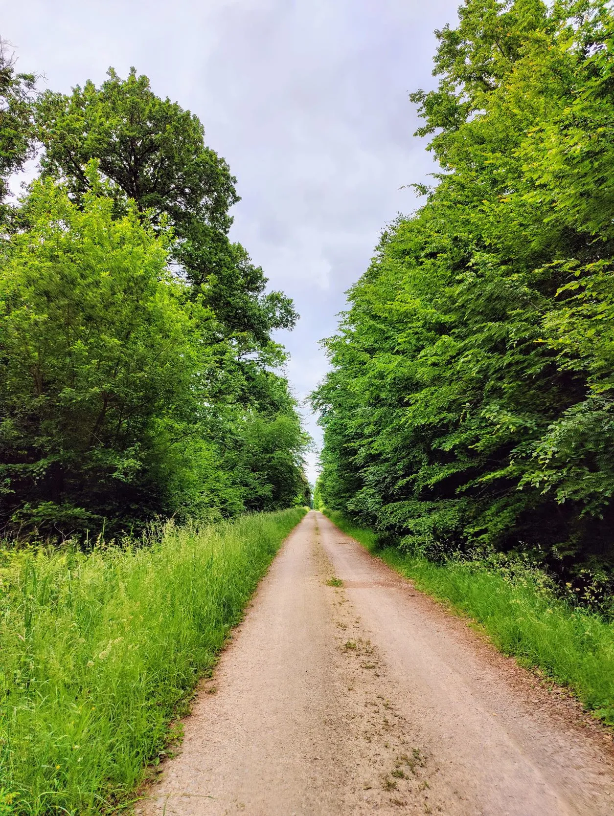 Etappe 26: Rhodes ⇒ Gondrexange (GR5) - foto 3