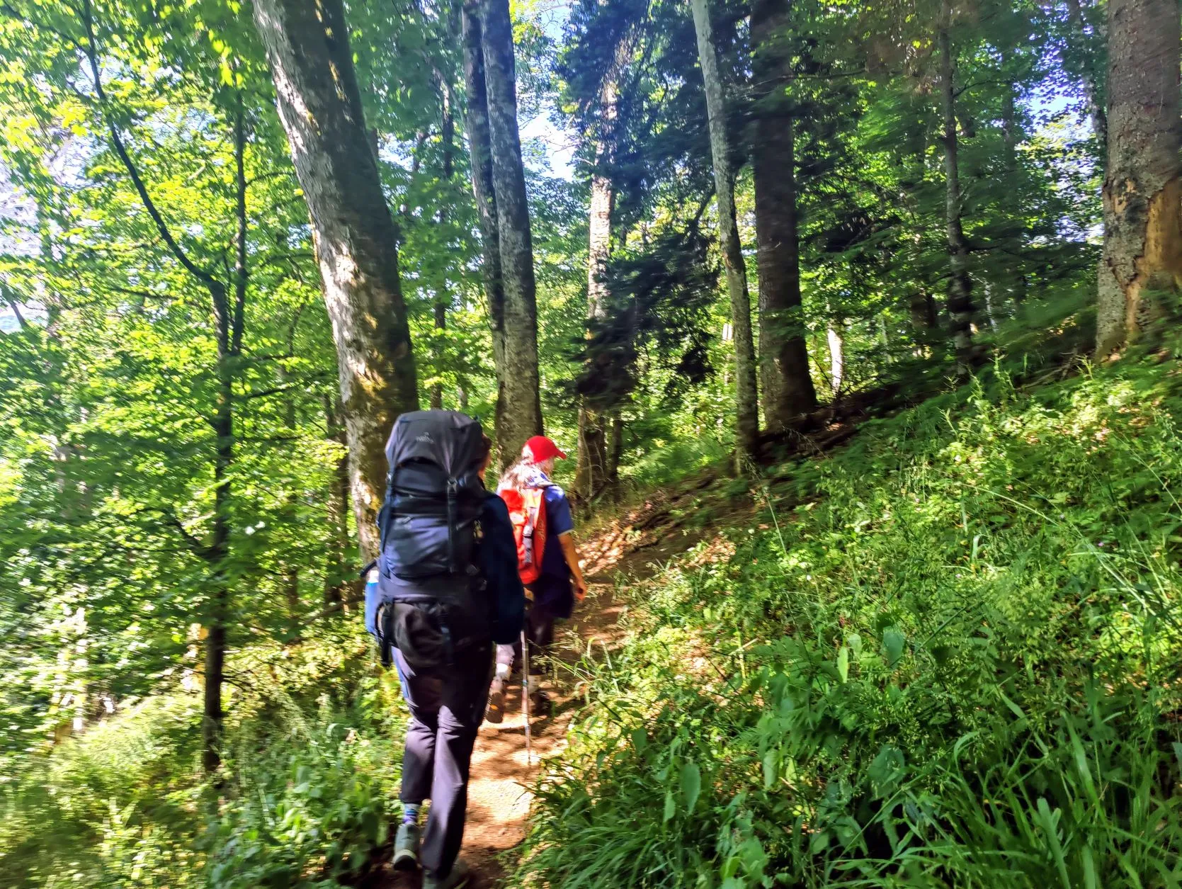 Stage 38: Refuge du Storkenkopf ⇒ Thann - photo 5