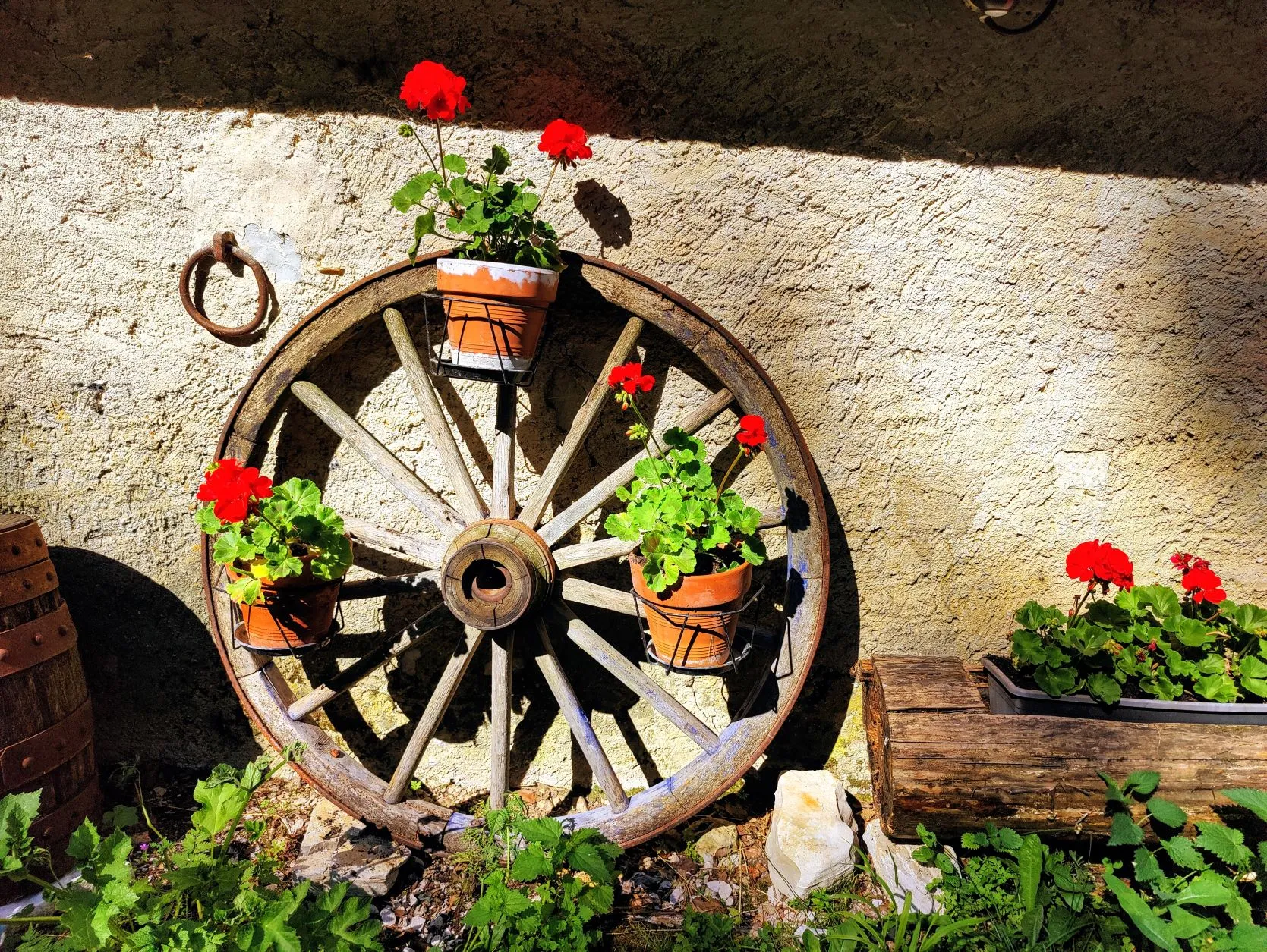 Etappe 54: Les Rousses ⇒ Saint-Cergue - foto 5