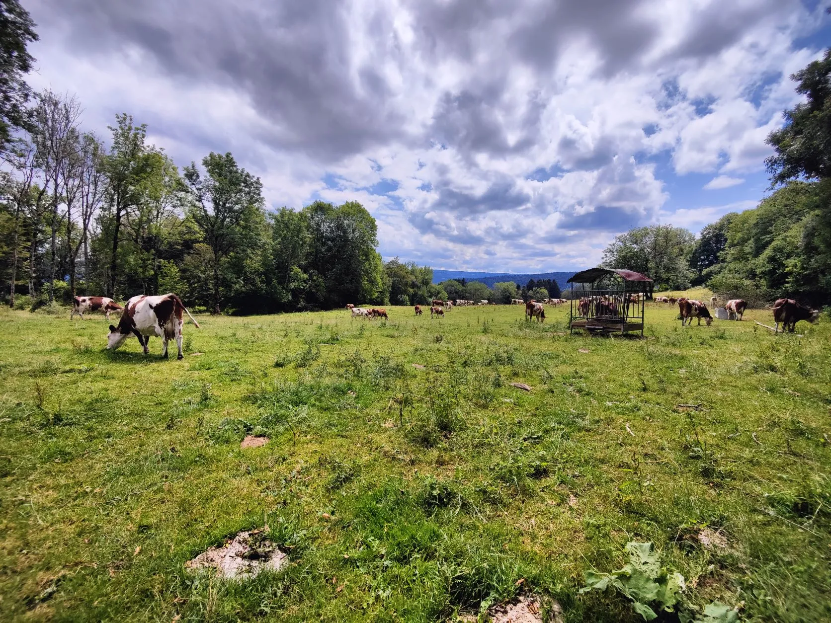 Etappe 44: Saint-Hippolyte ⇒ Goumois - foto 4