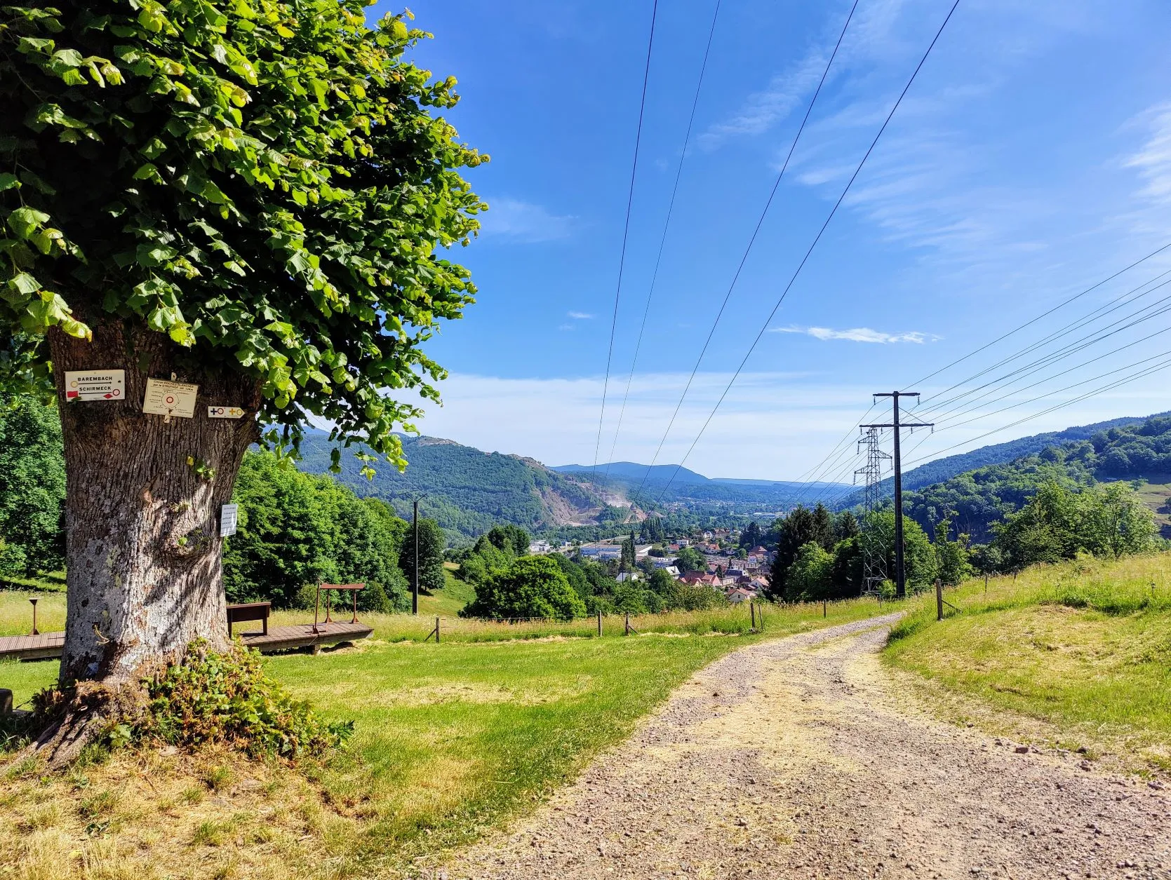 Etappe 30: Schirmeck ⇒ Le Hohwald (GR5) - foto 1