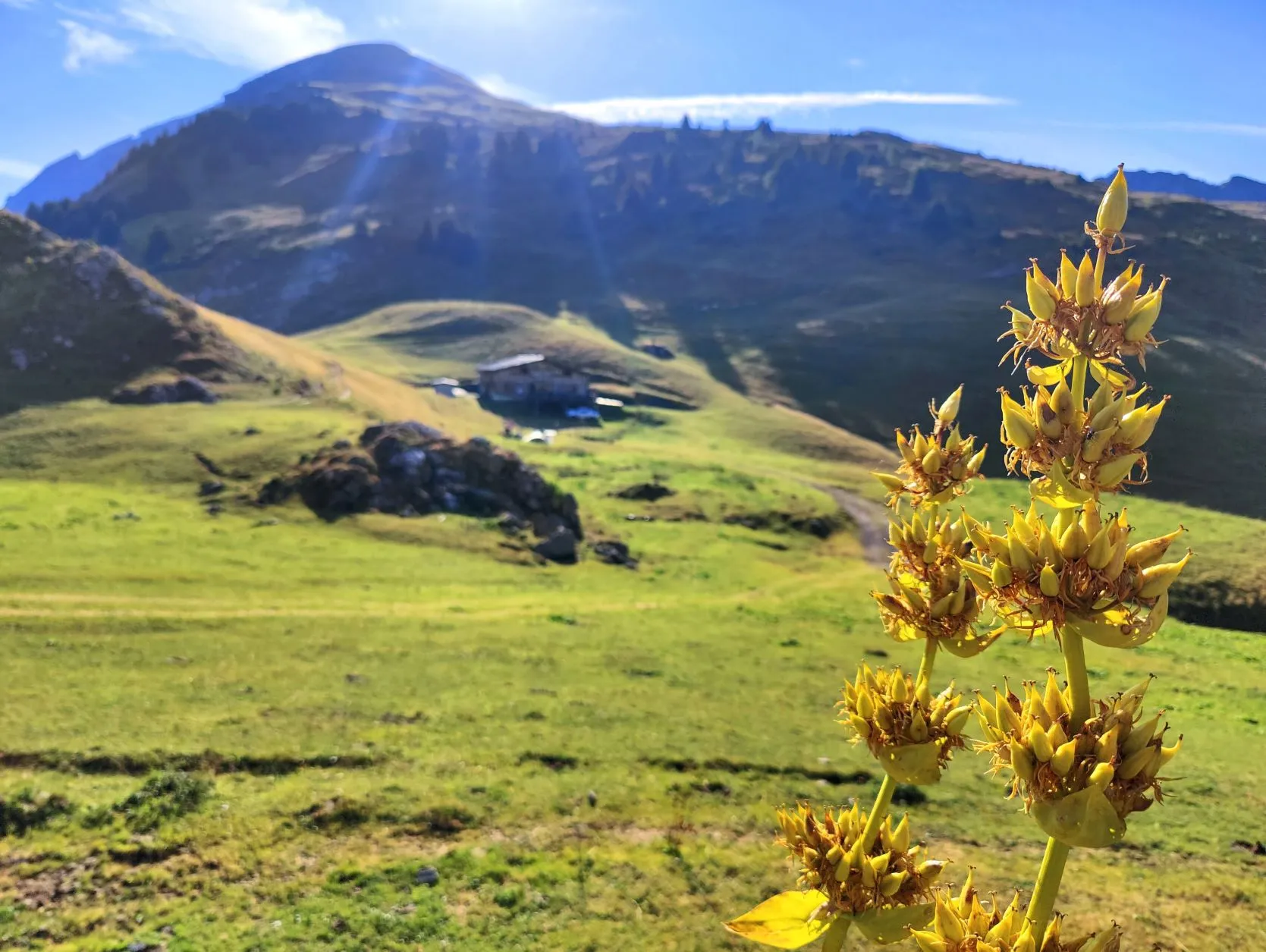 Etappe 61: Col de la Golese ⇒ Verchaix - foto 4