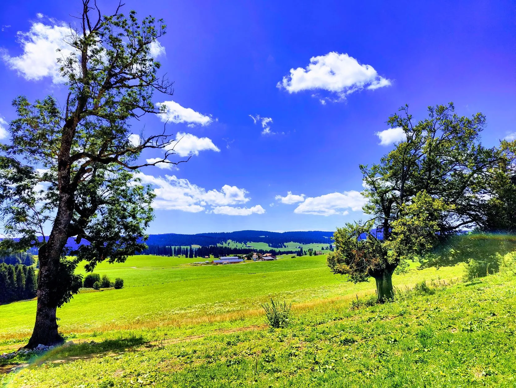 Etappe 48: Les Brenets ⇒ Cabane du Mont Châteleu - foto 5