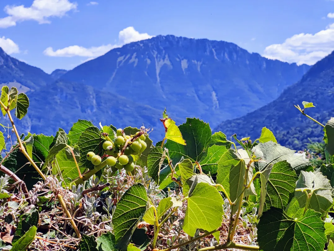 Etappe 56: Thonon-les-Bains ⇒ Vinzier - foto 8