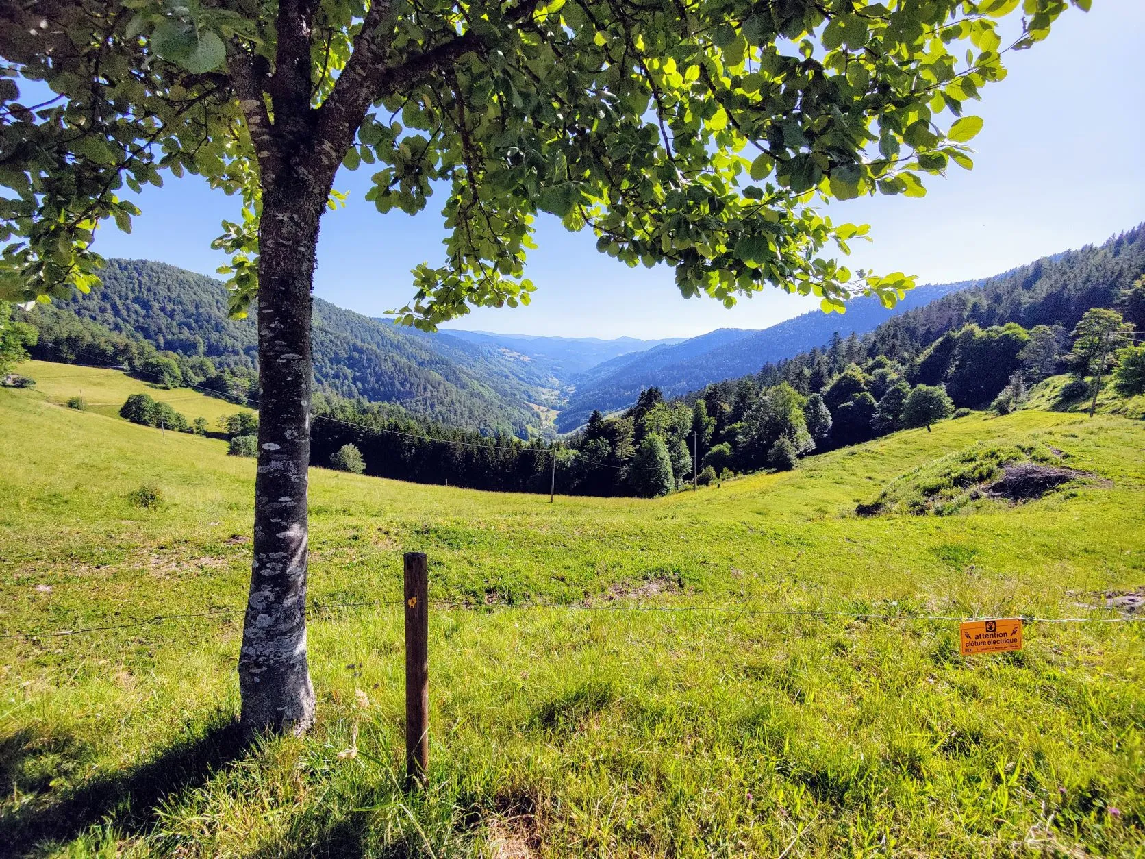 Etappe 35: Faurupt ⇒ Lac Blanc (GR5) - foto 3